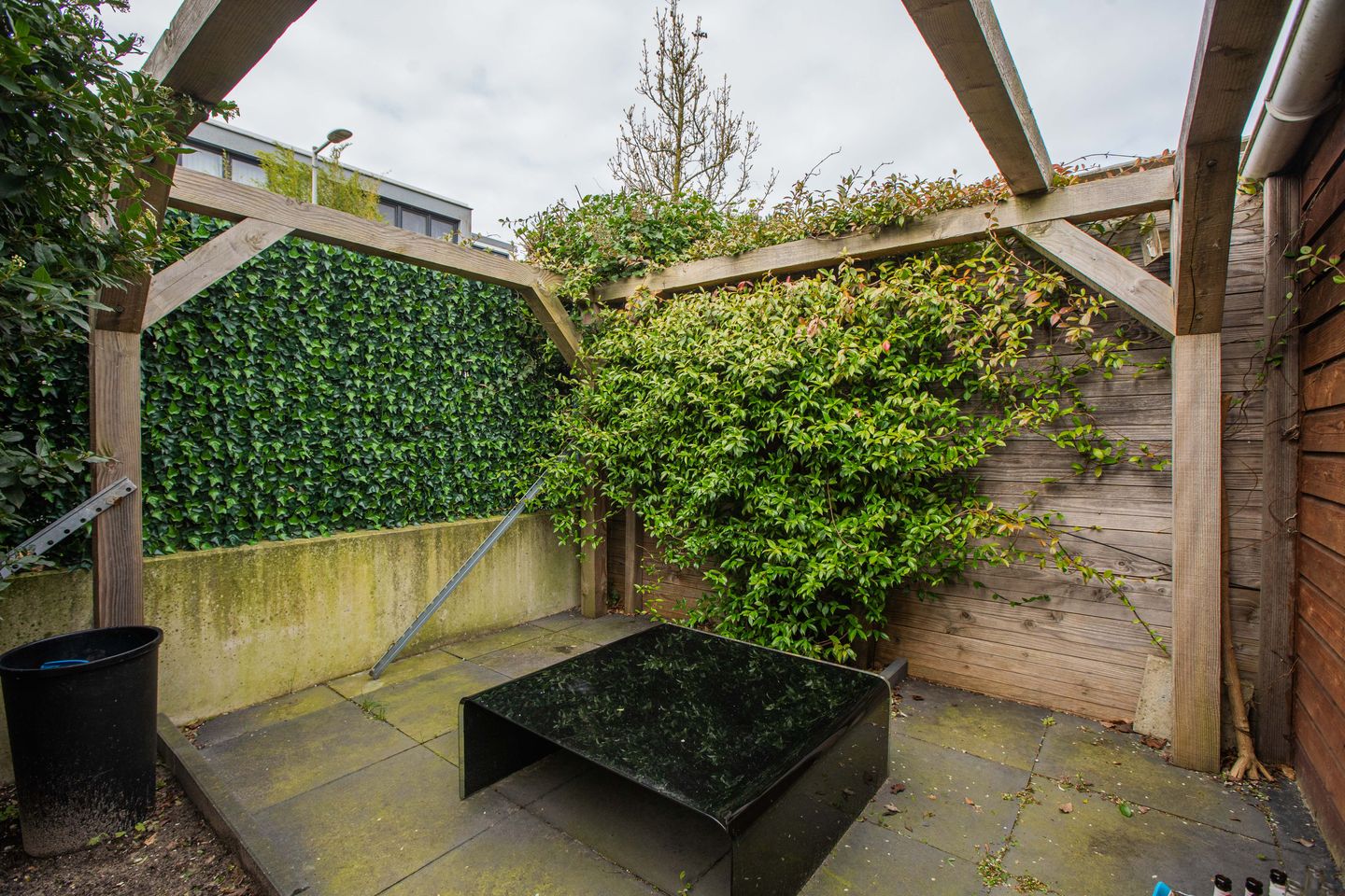 Photo 19 of Monte Adi 18