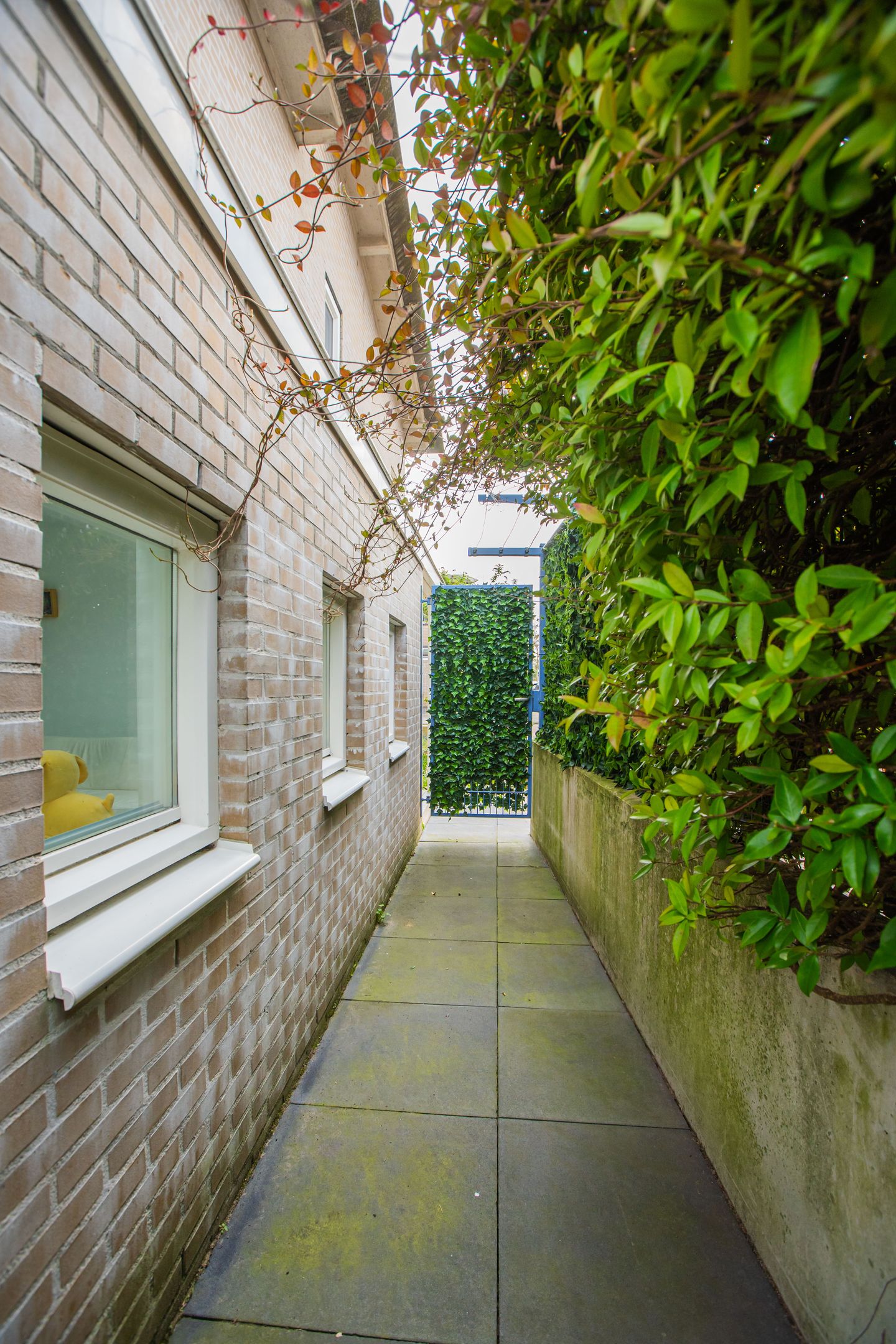 Photo 20 of Monte Adi 18