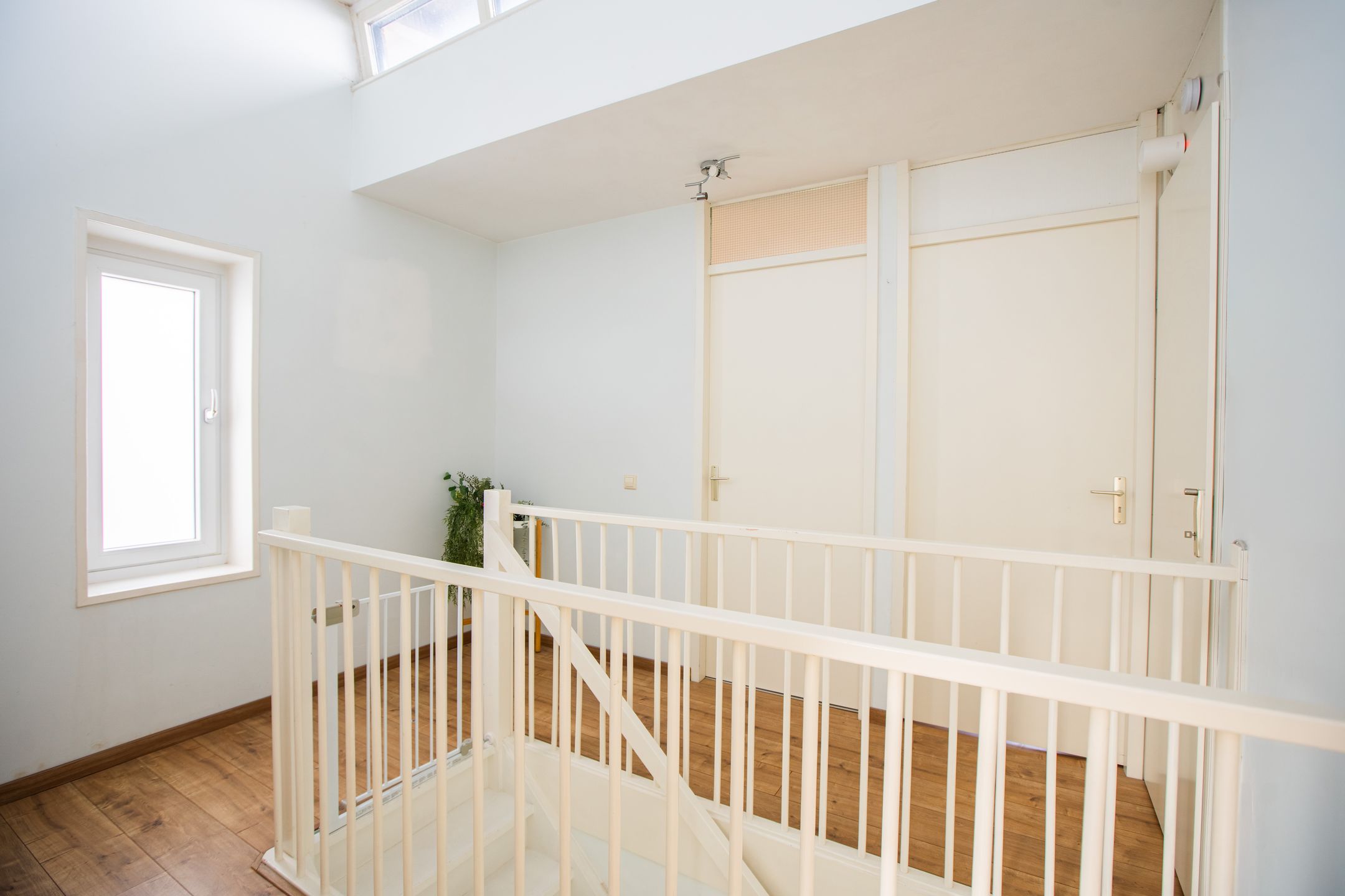 Photo 39 of Monte Adi 18