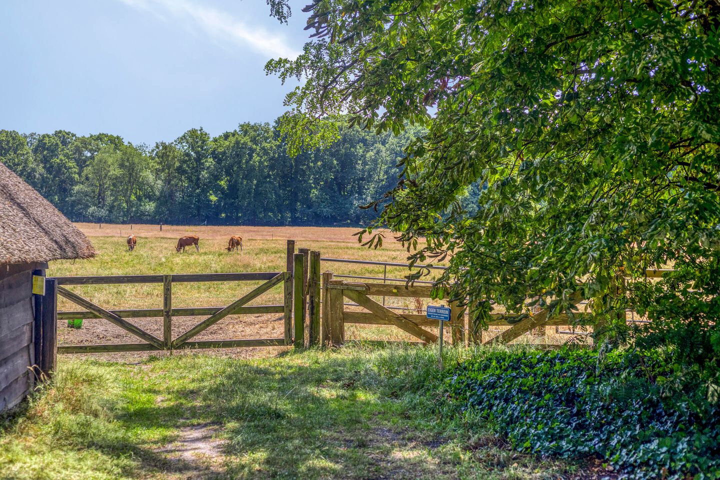 Photo 49 of Libanonweg 5