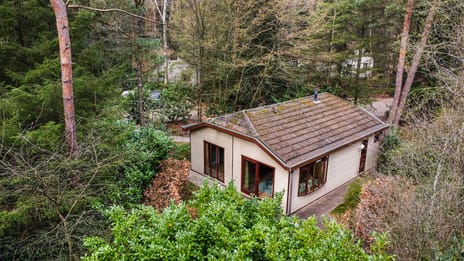 Reeënbergweg thumbnail