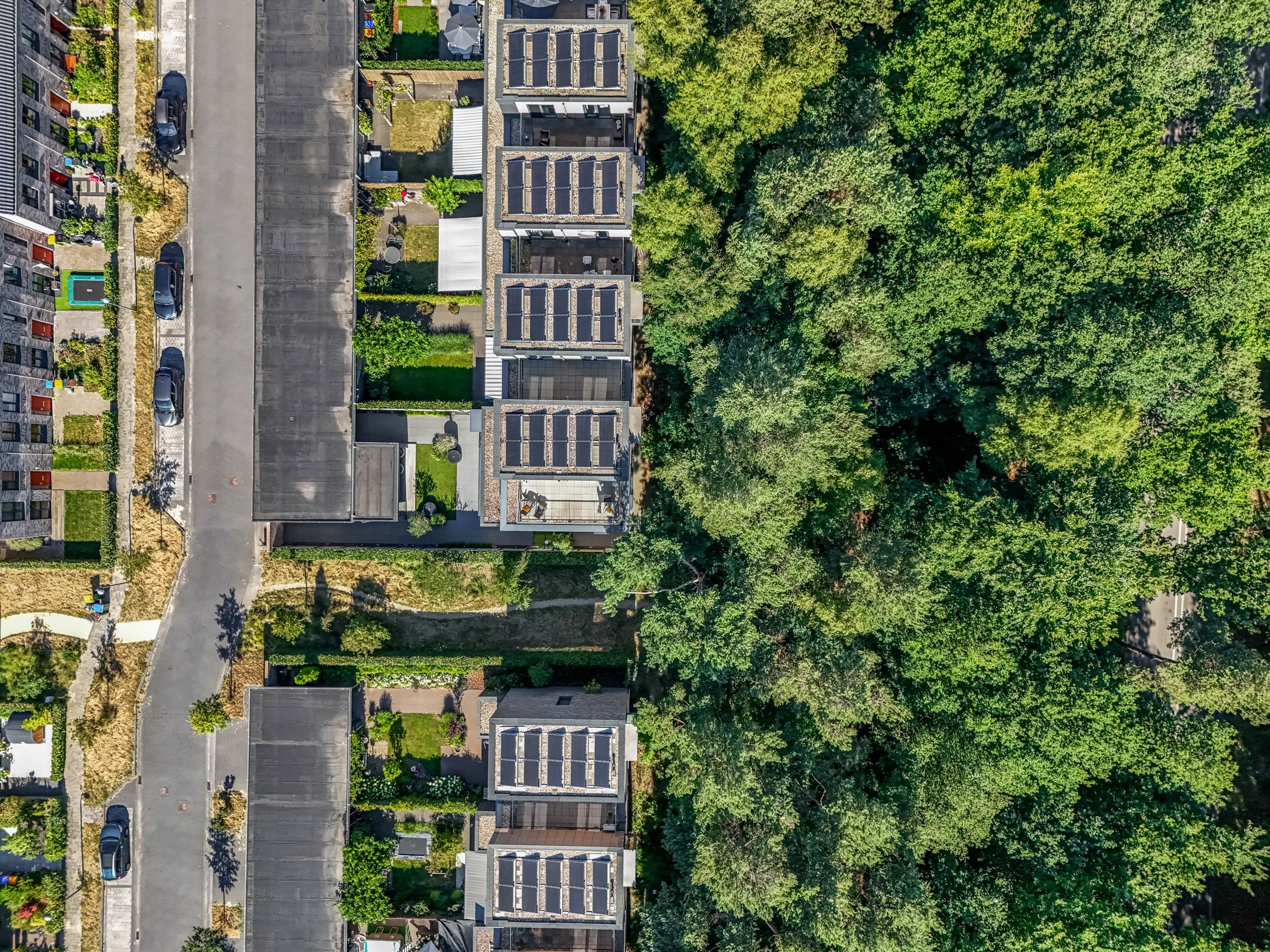 Photo 57 of Cornelis Verduijnstraat 14