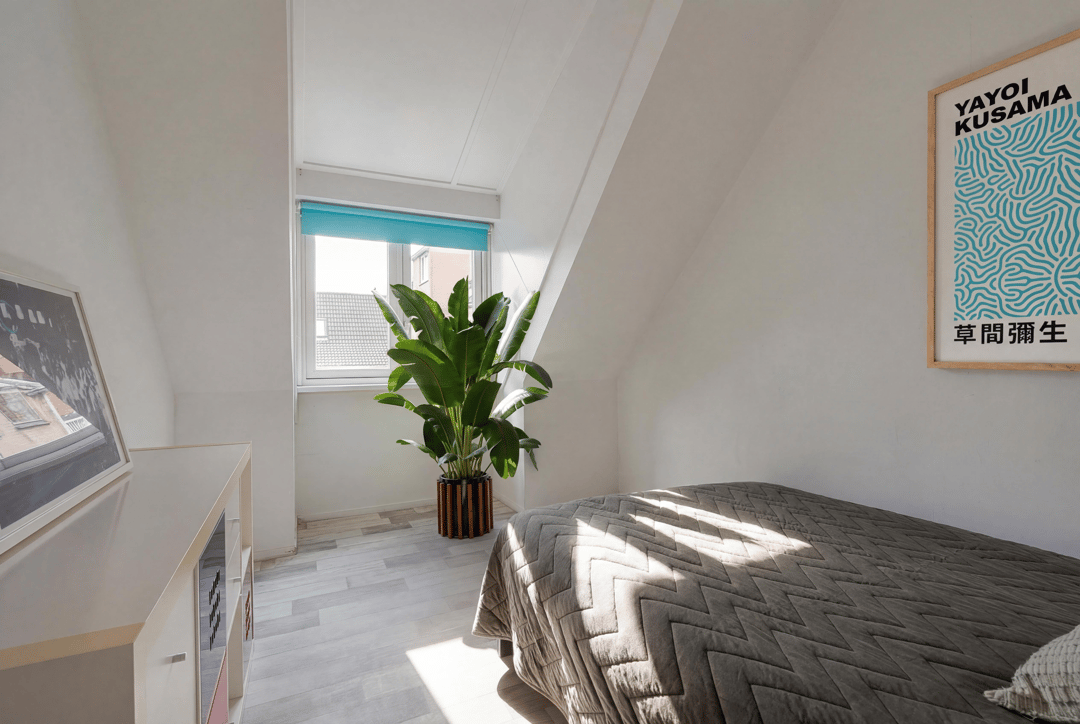 Foto 17 van Infanteriepad 14