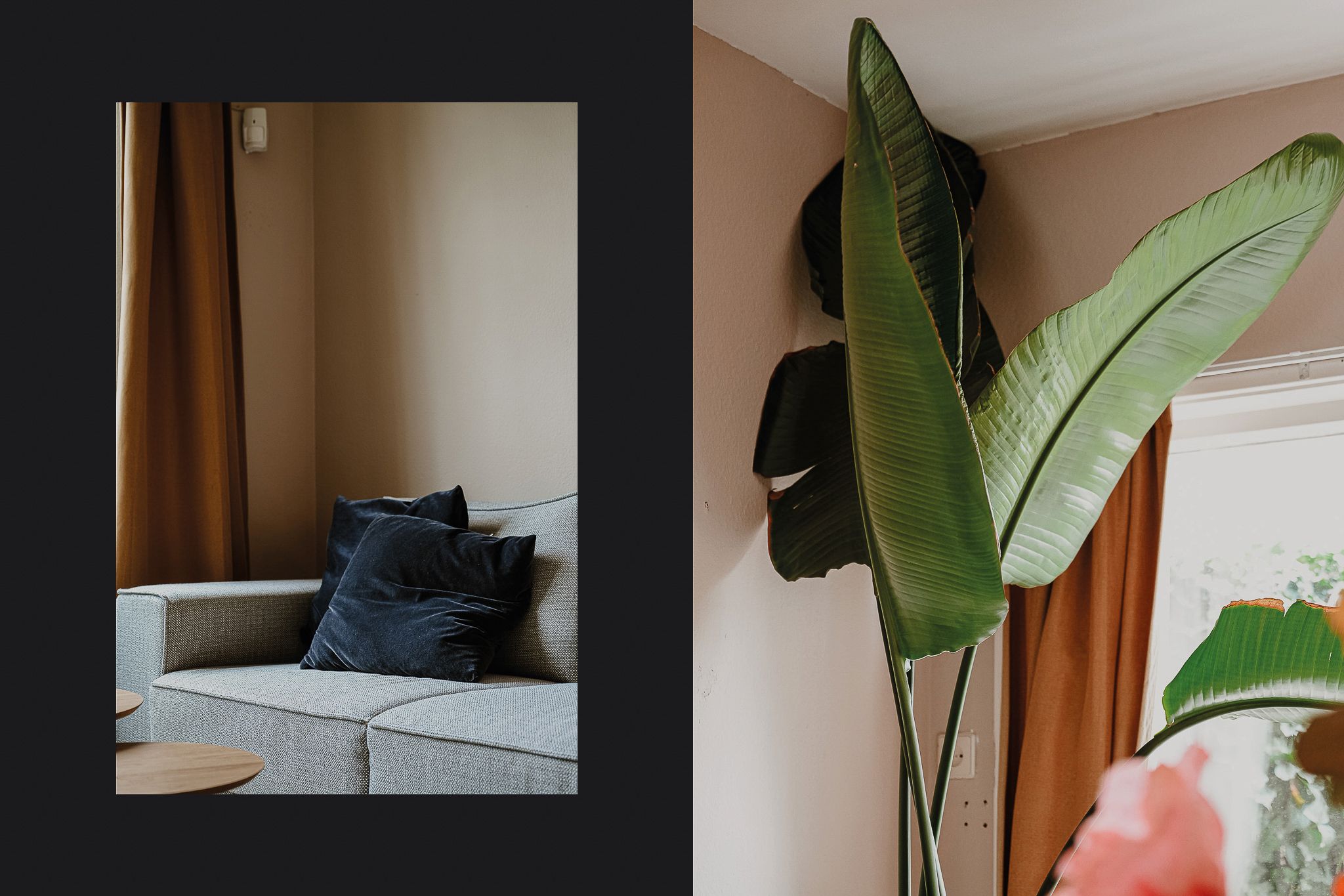 Foto 3 van Catharina van Renneslaan 16