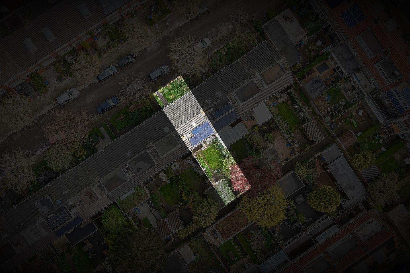 Foto 44 van Catharina van Renneslaan 16