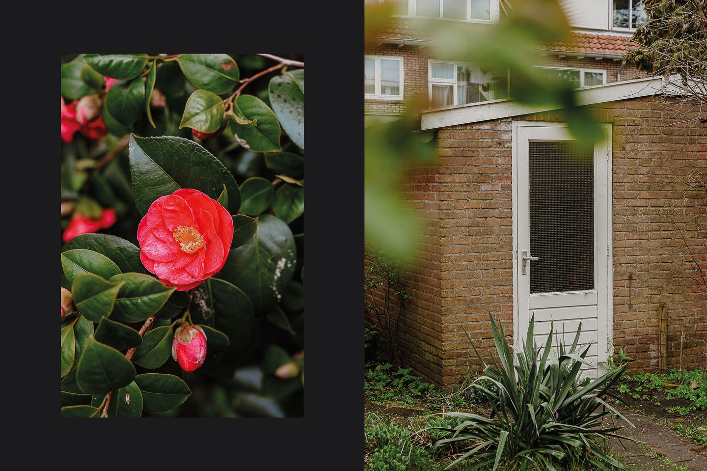 Foto 35 van Catharina van Renneslaan 16