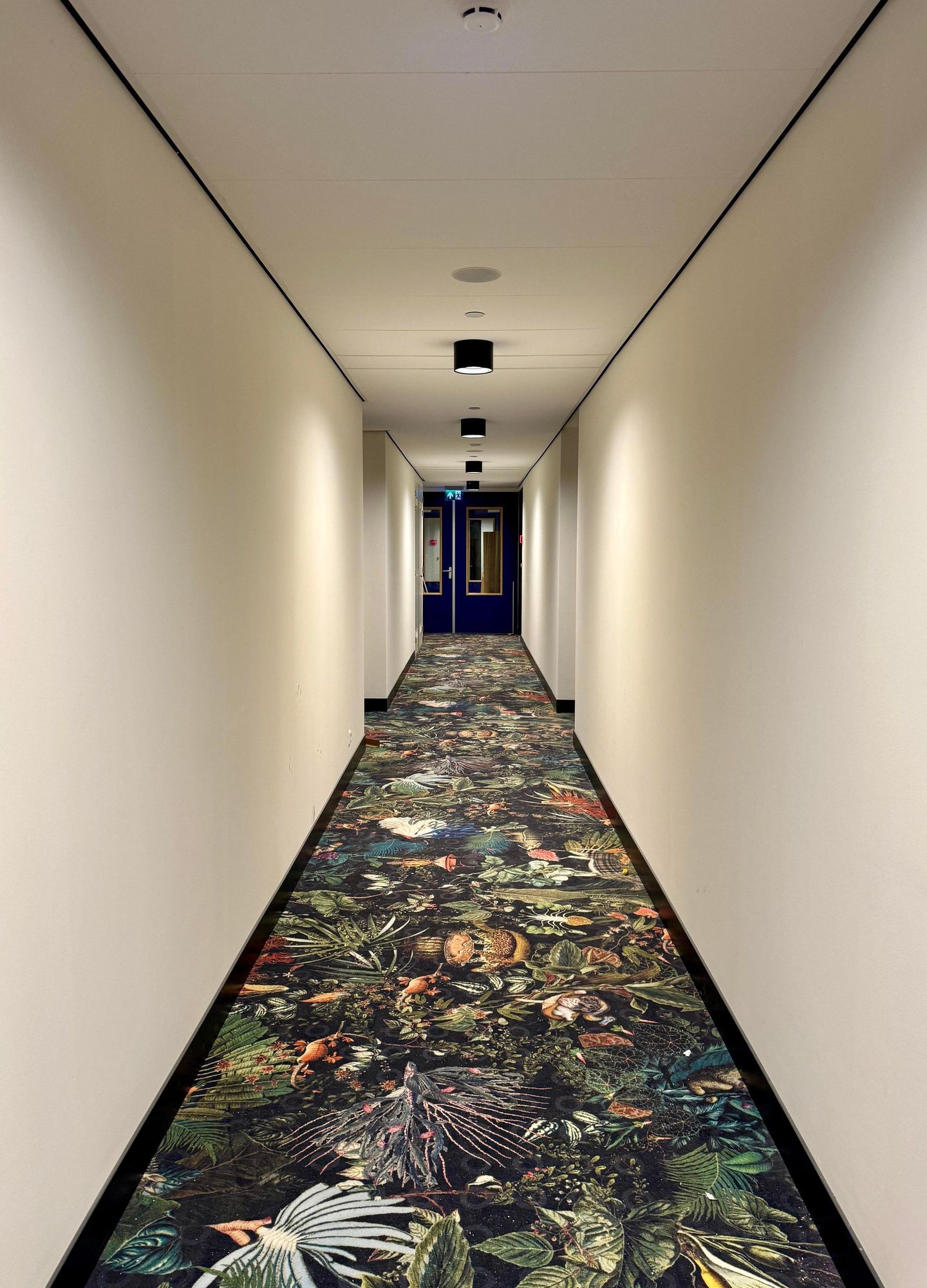 Foto 25 van Hoola van Nootenstraat 281