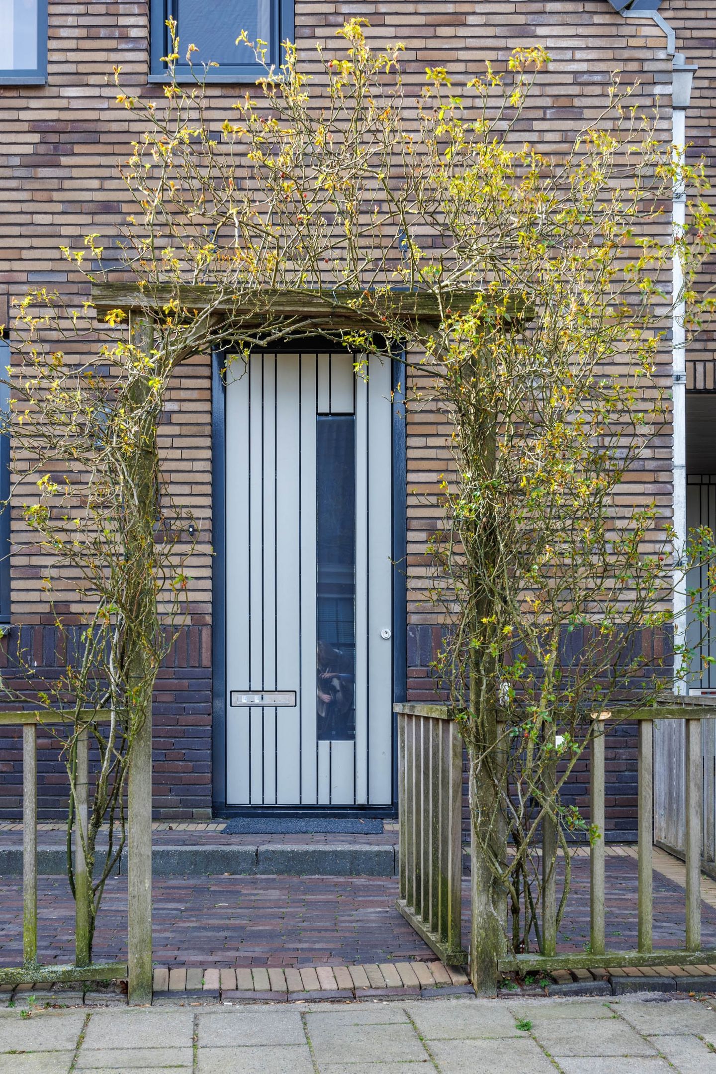 Photo 4 of Hoge Rijndijk 46-A