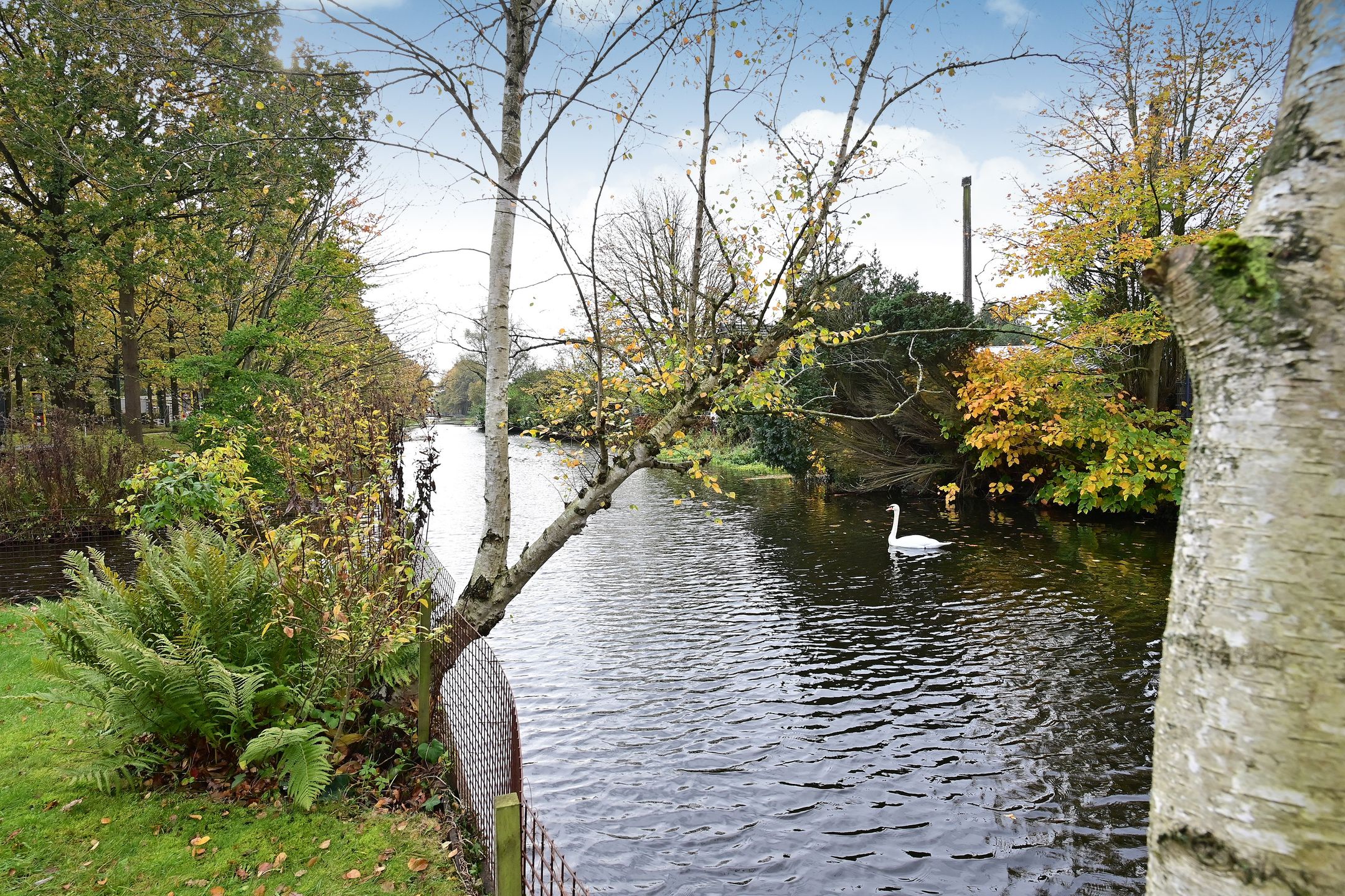 Foto 18 van Noordereinde 287