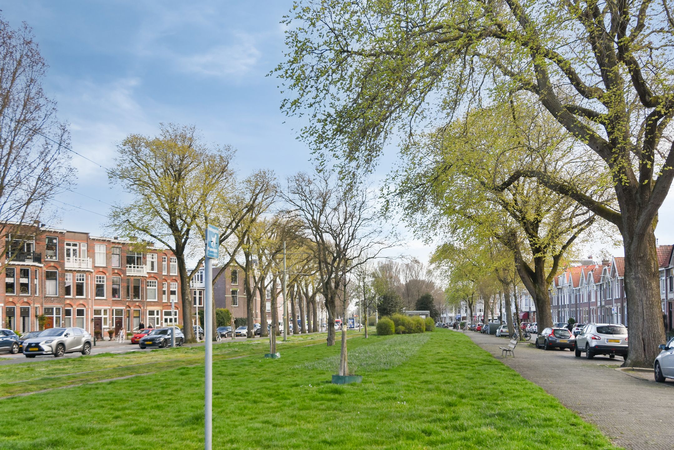 Foto 36 van Douzastraat 34