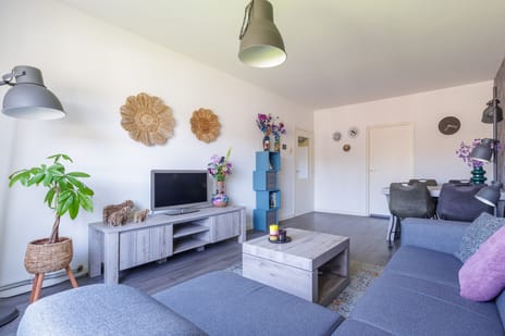 Dierenriemstraat 37 secondary image