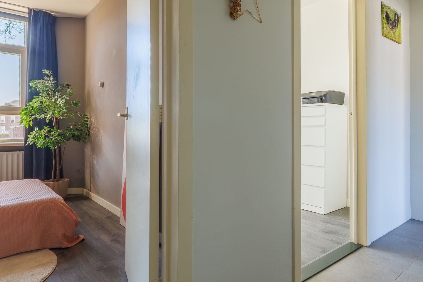 Foto 40 van Dierenriemstraat 37