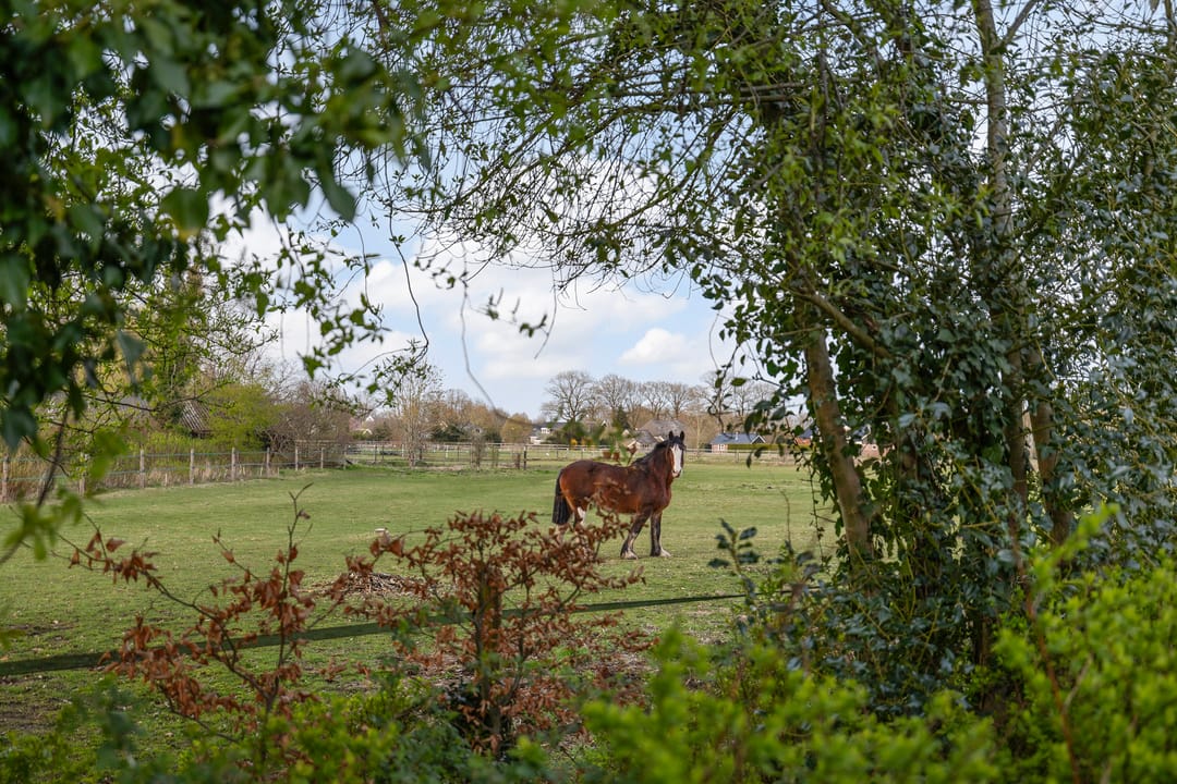 Photo 13 of Dalerstraat 33