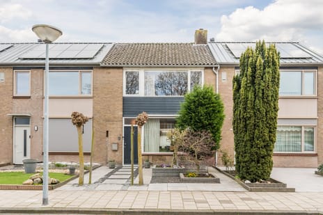 undefined main image