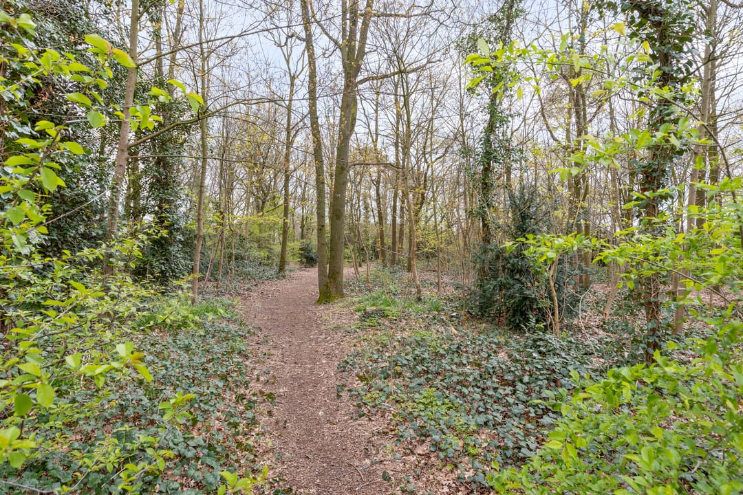 Photo 32 of Baroniehof 64