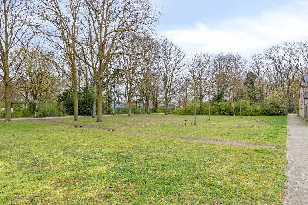 Photo 31 of Baroniehof 64