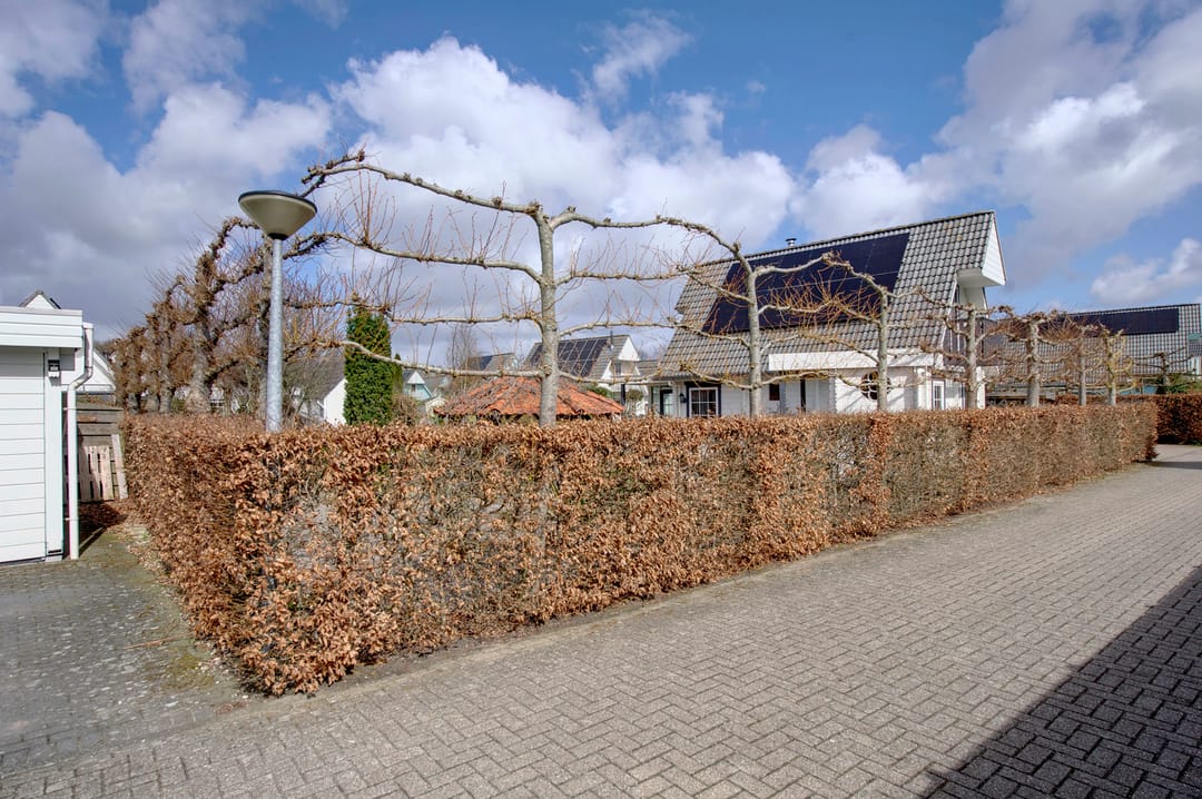 Foto 11 van Oeverlanden 75