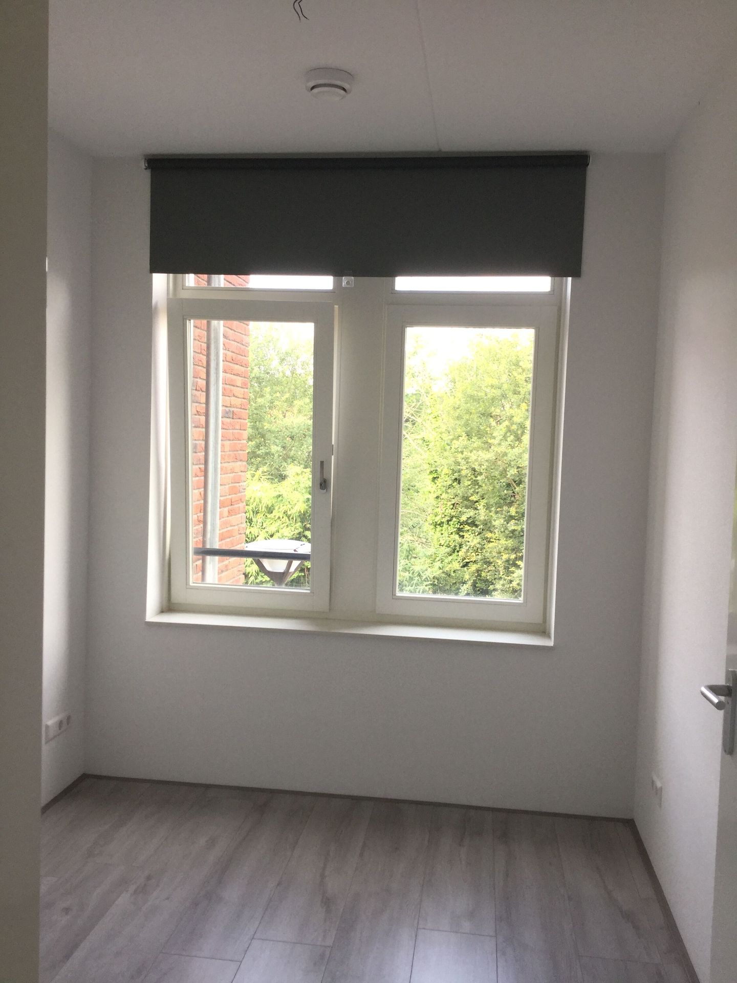 Foto 5 van Scheerderij 16