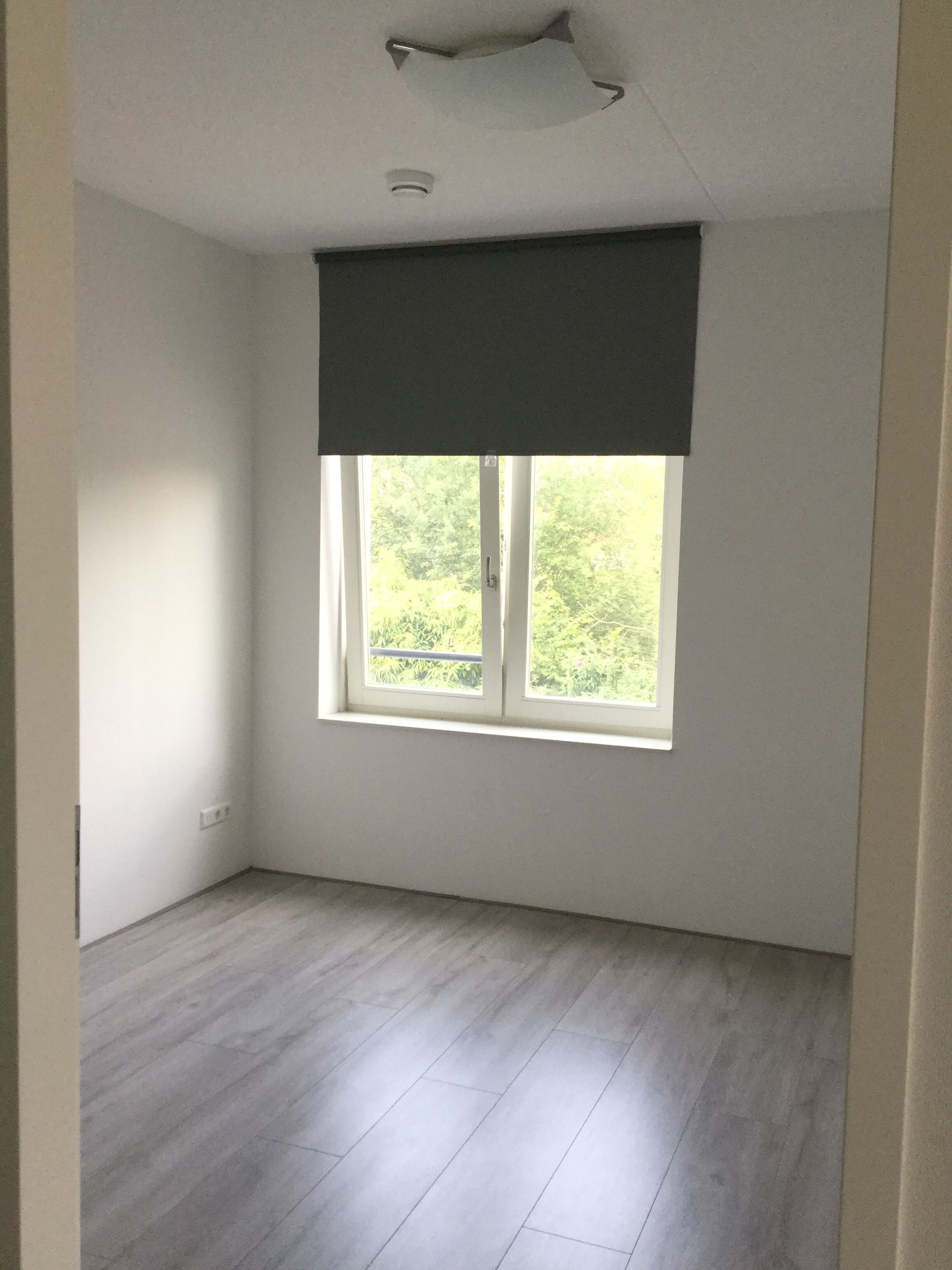 Foto 15 van Scheerderij 16