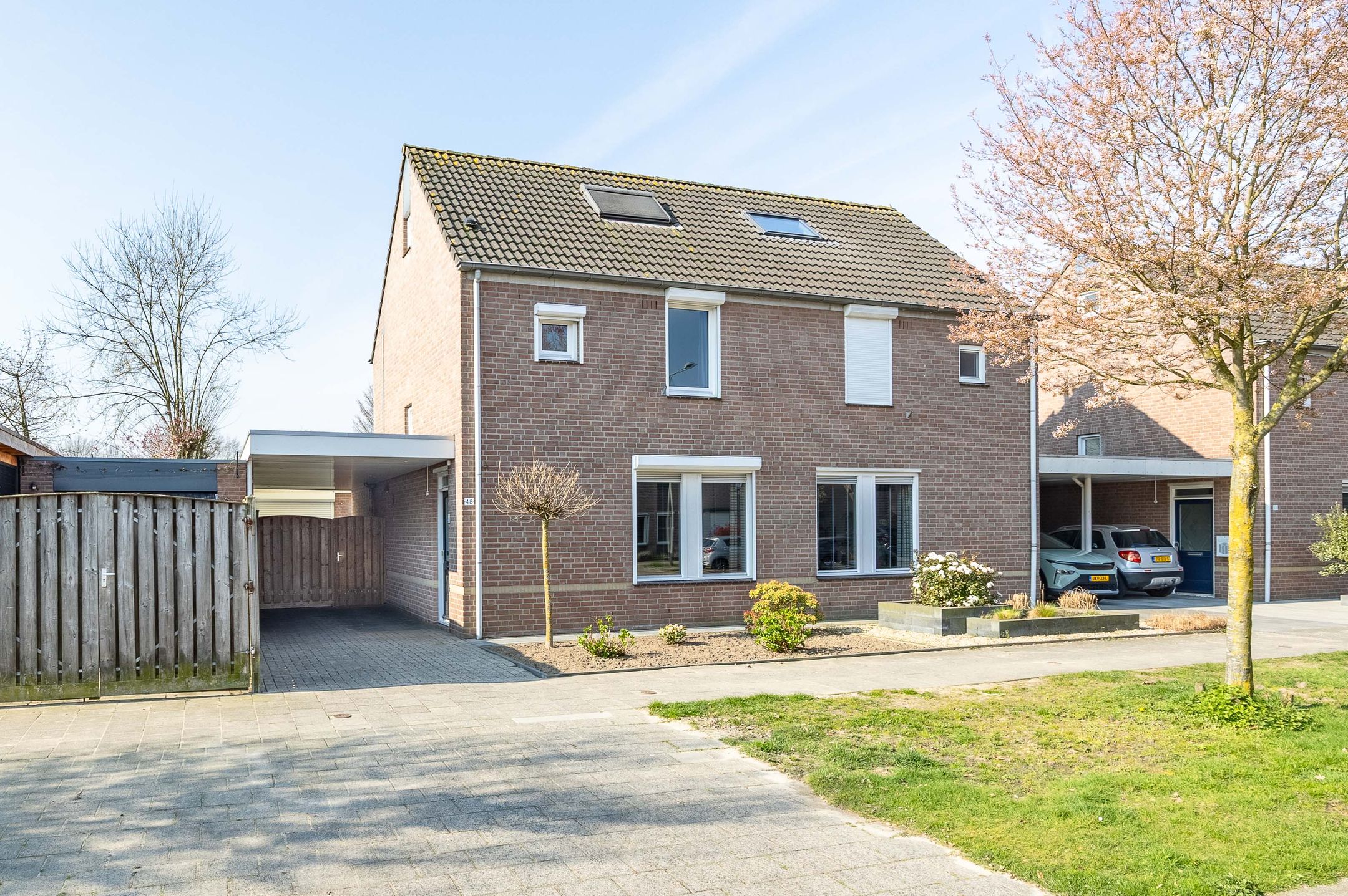 Sleutelbloem 48 