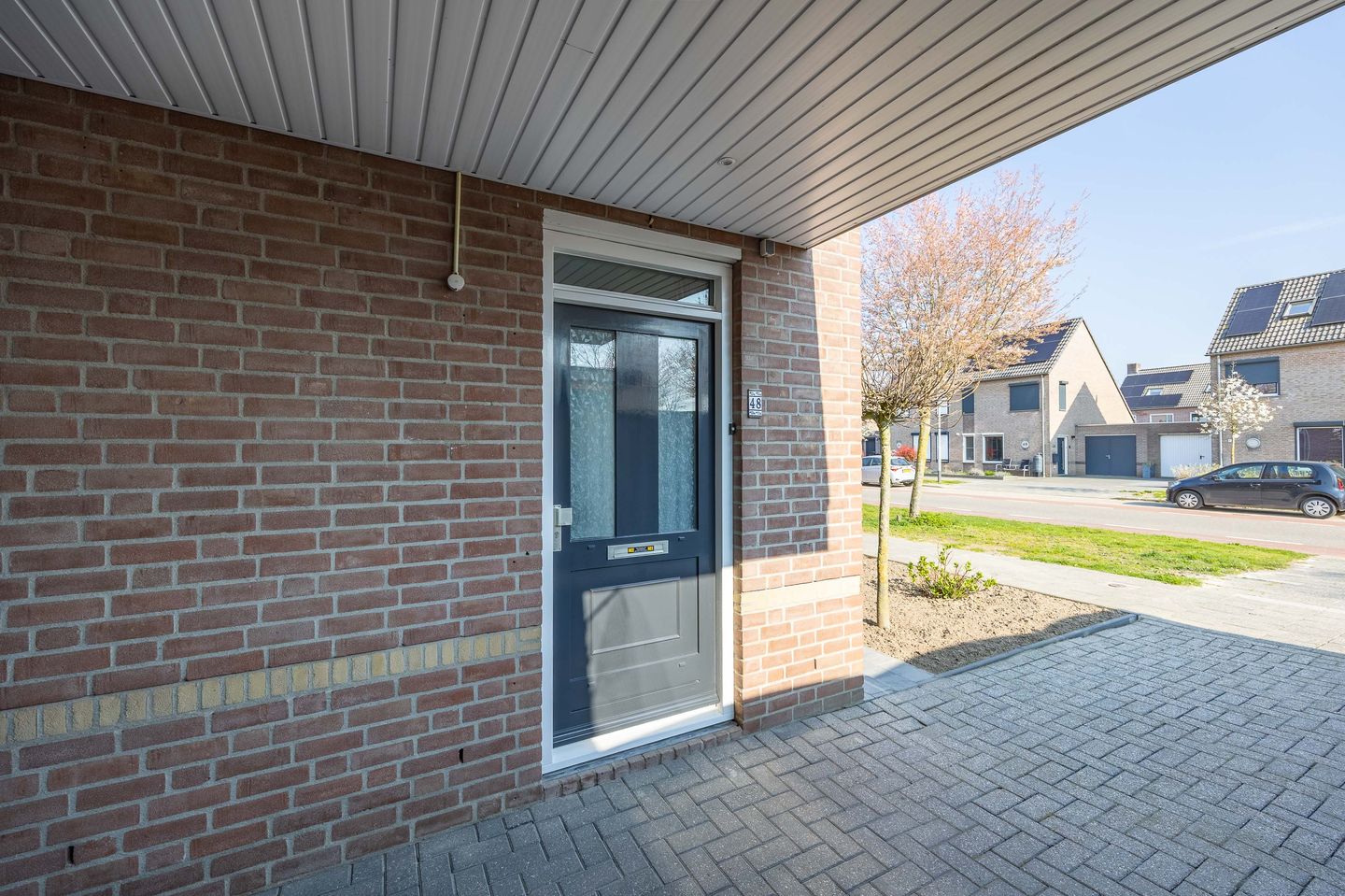 Photo 5 of Sleutelbloem 48