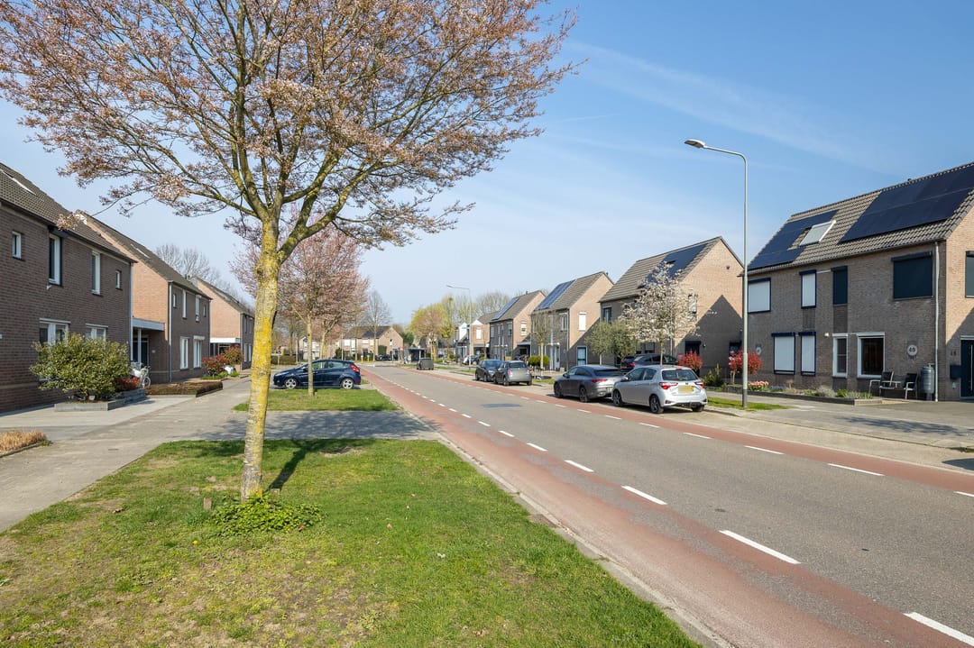 Photo 38 of Sleutelbloem 48