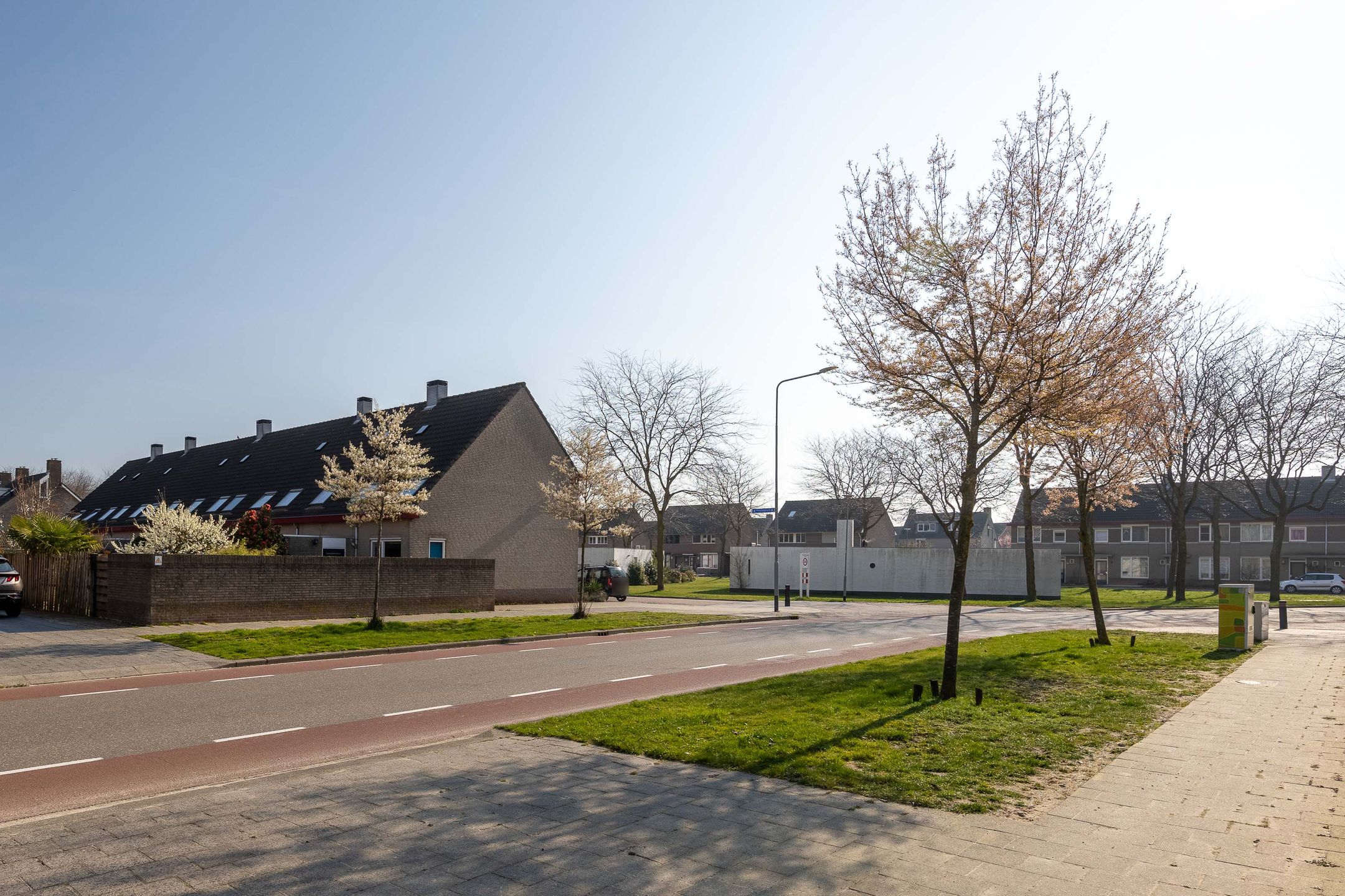 Photo 39 of Sleutelbloem 48