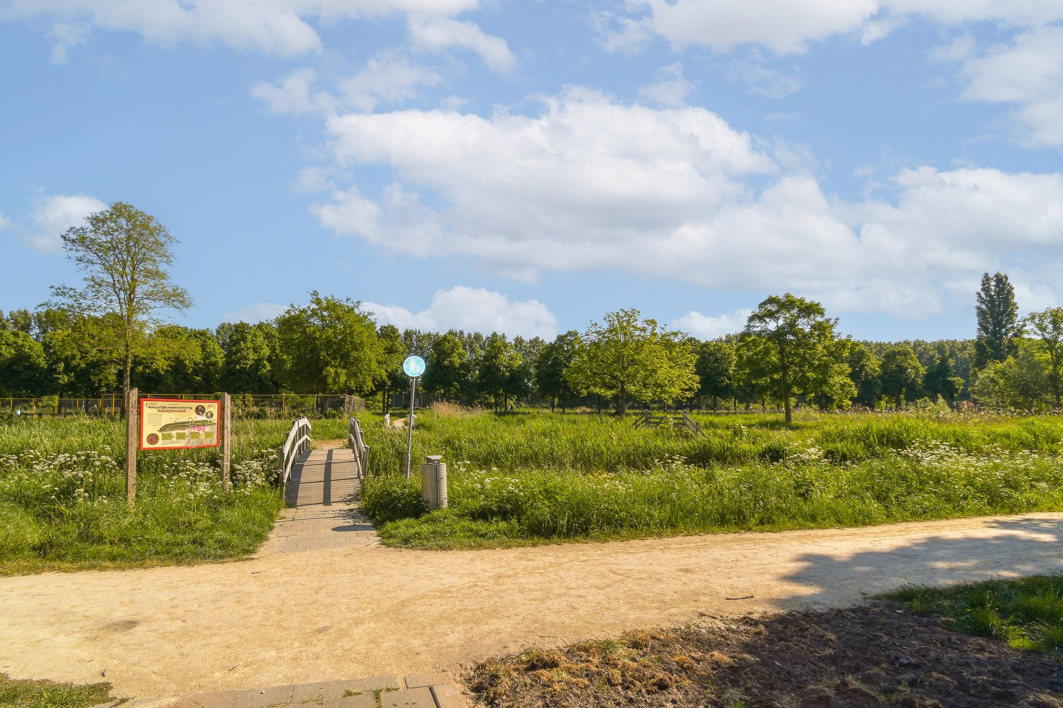 Photo 12 of Amerbos 194