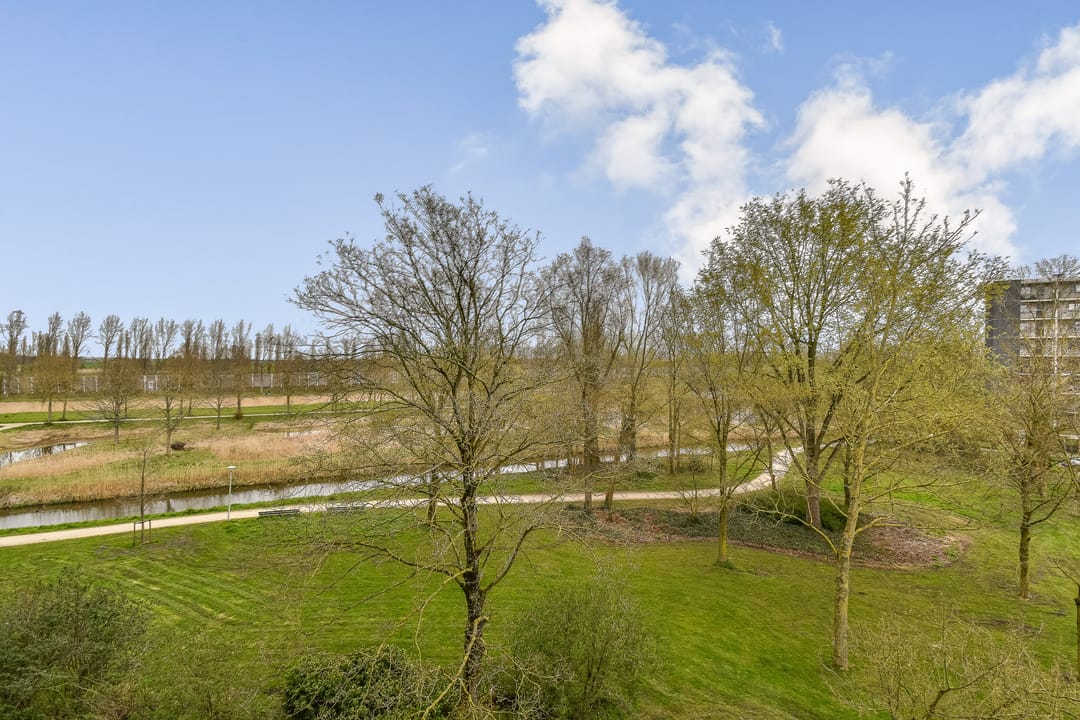 Photo 7 of Amerbos 194