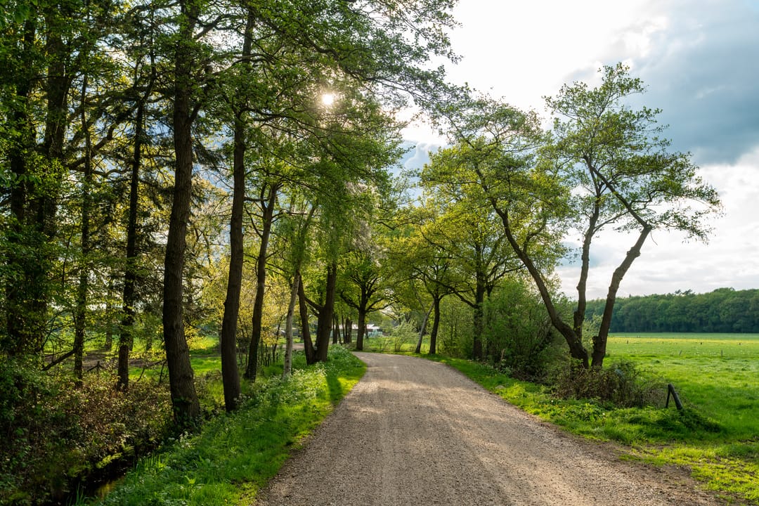 Foto 8 van Voorsterhove, Voorst