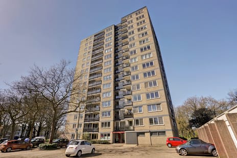Vanekerstraat thumbnail
