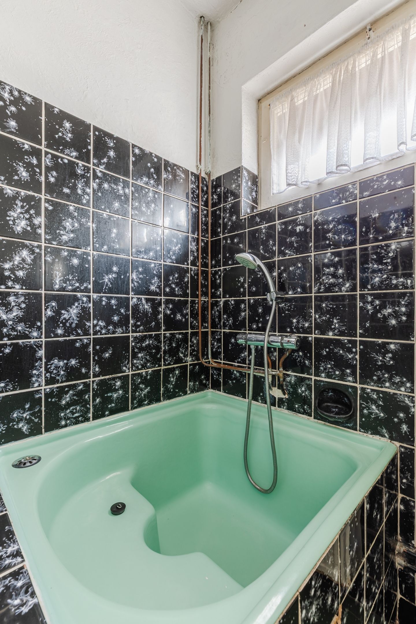 Foto 35 van Pannenstaartweg 49