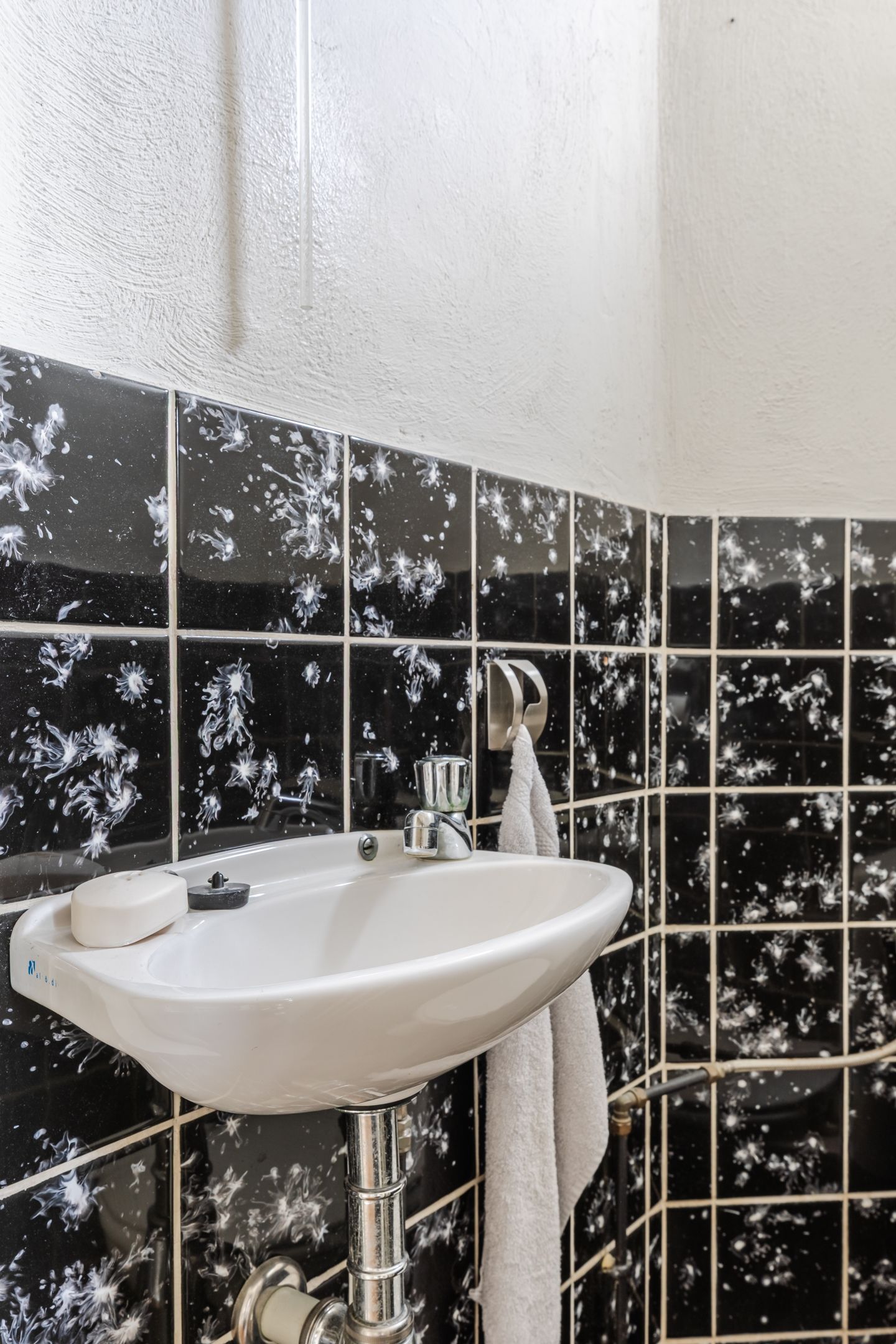 Foto 9 van Pannenstaartweg 49