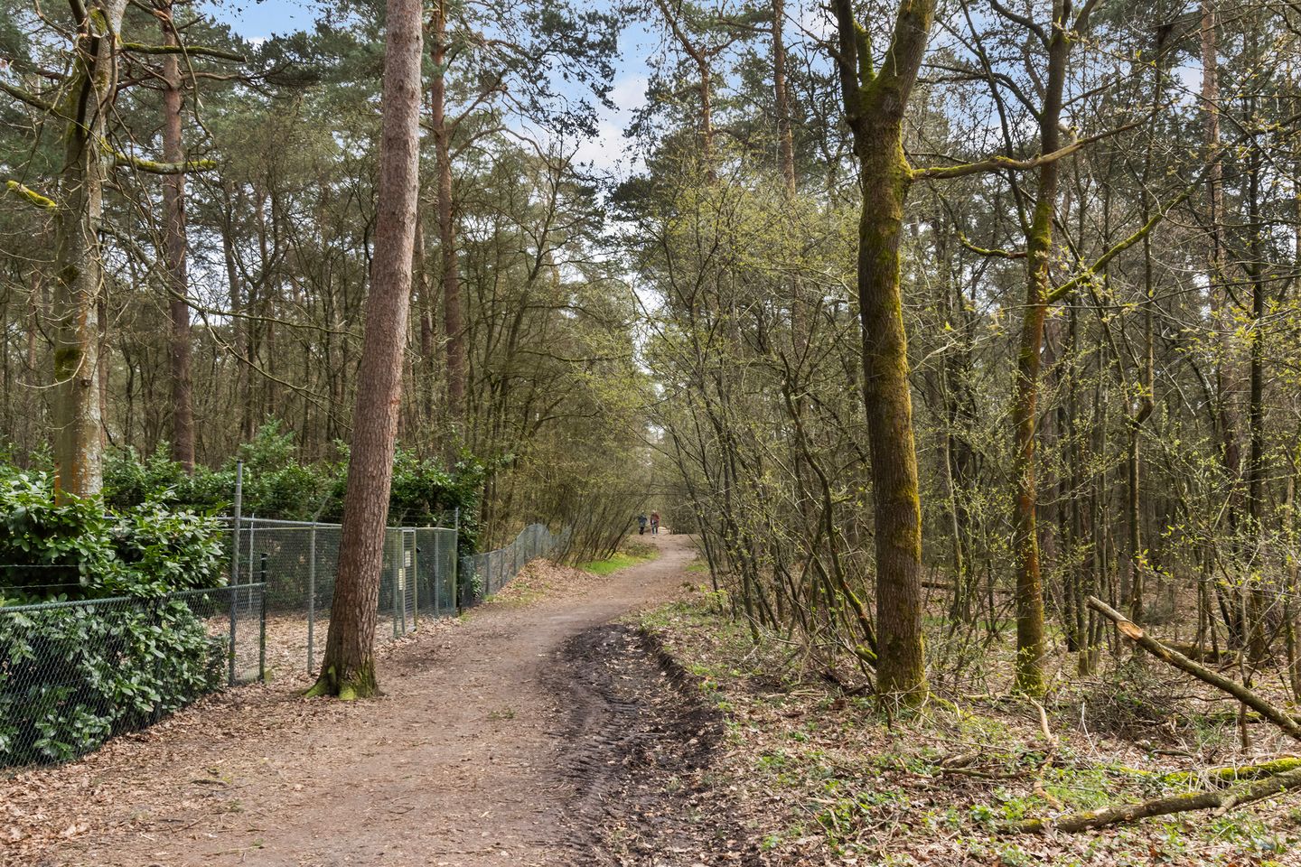 Foto 34 van Lage Bergweg 41-55