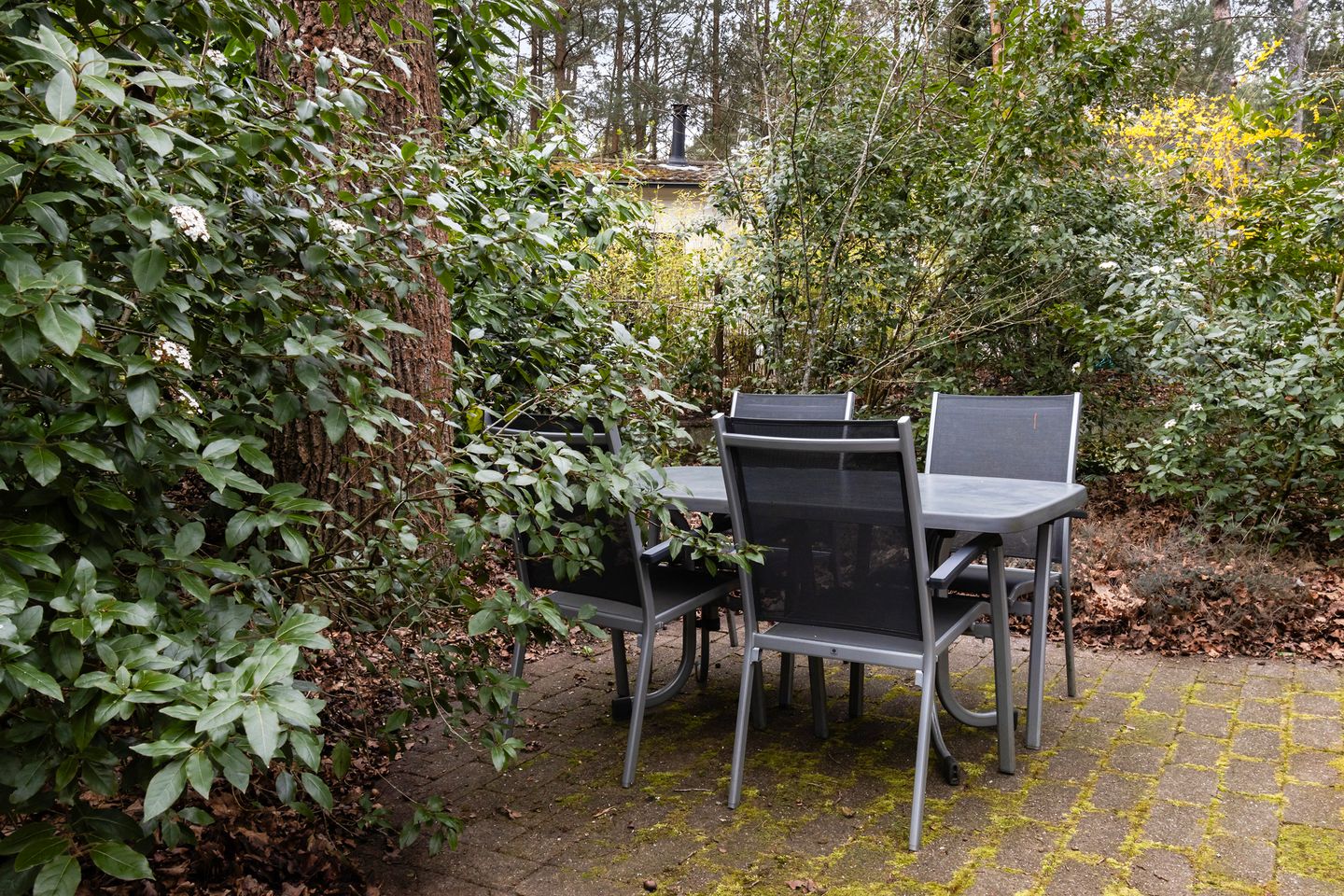 Foto 20 van Lage Bergweg 41-55