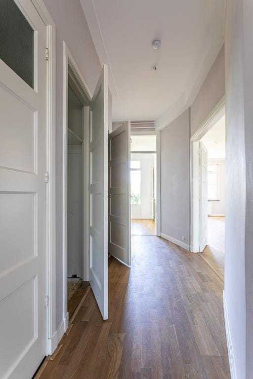 Photo 8 of Carel Reinierszkade 265