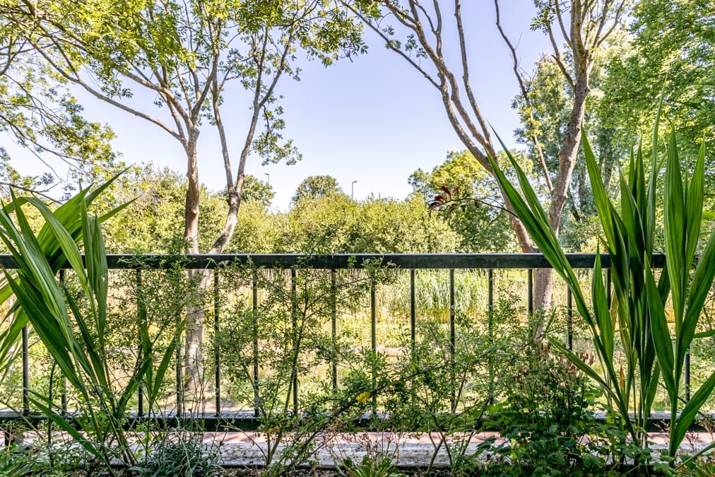 Photo 28 of Carel Reinierszkade 265