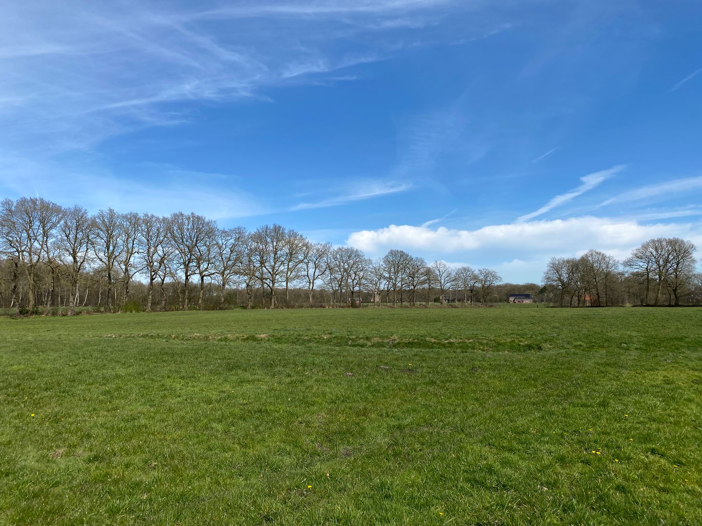 Bekijk foto 3 van Hoofdweg