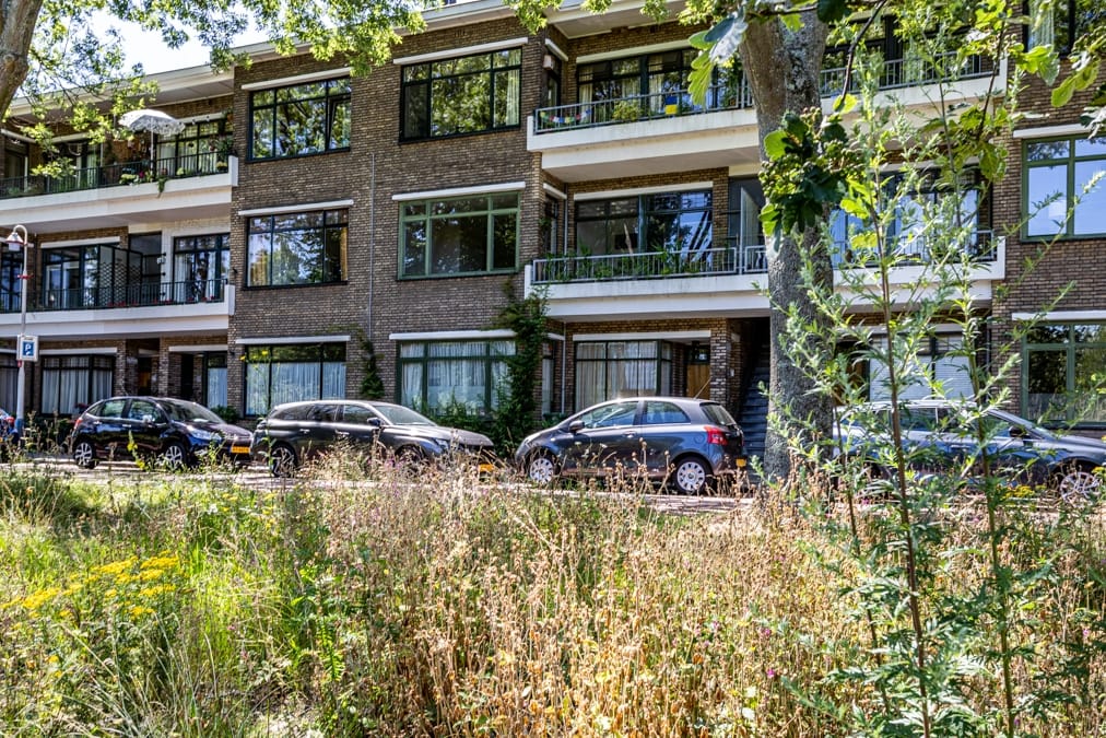 Photo 44 of Carel Reinierszkade 265