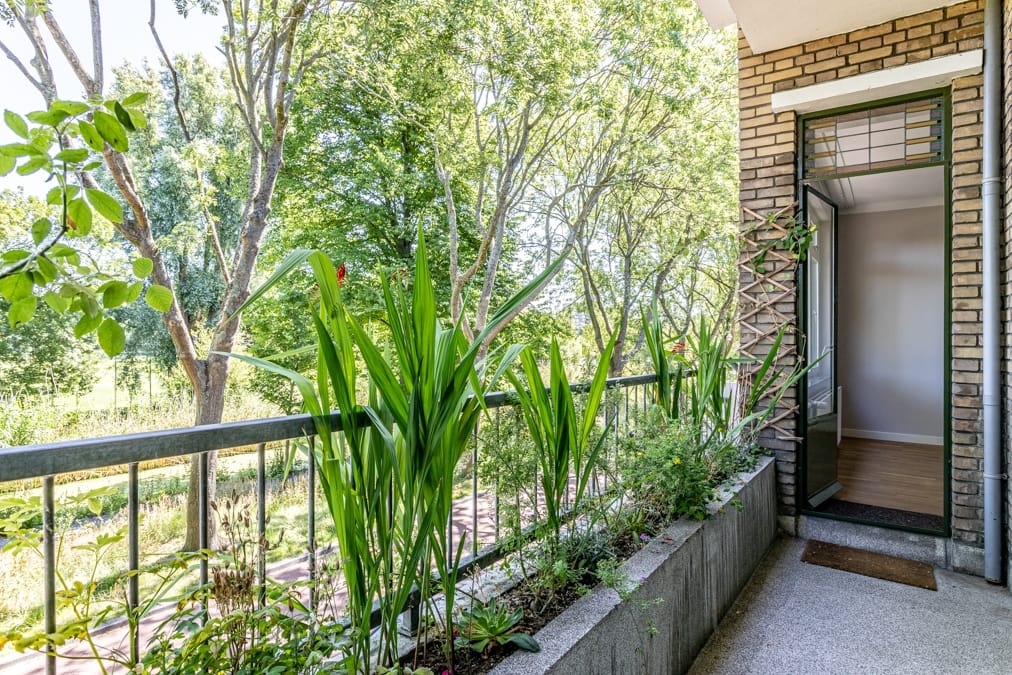 Photo 29 of Carel Reinierszkade 265