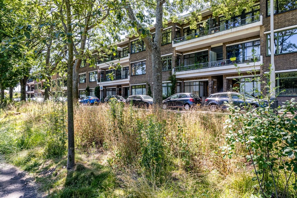 Photo 41 of Carel Reinierszkade 265