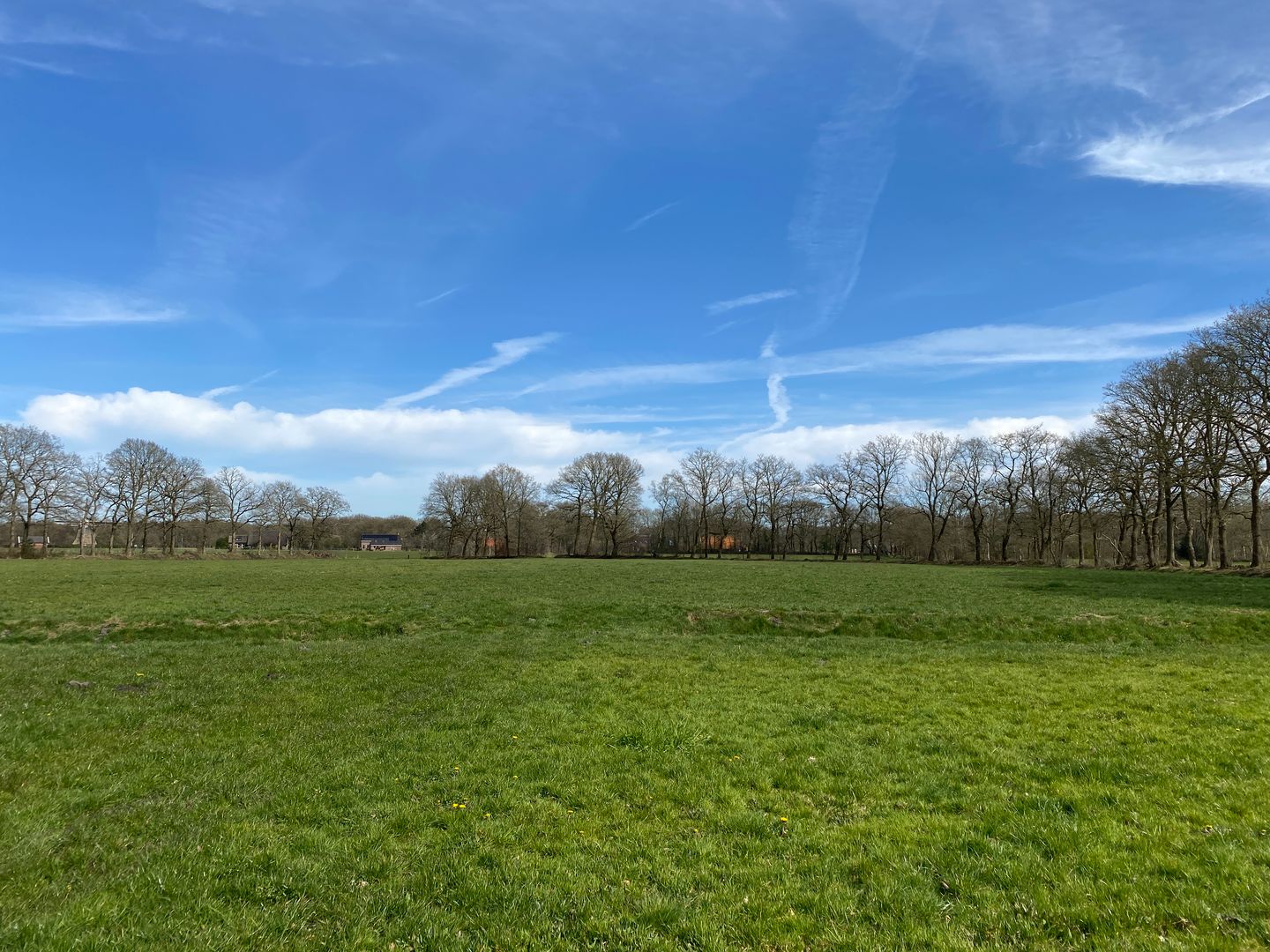 Bekijk foto 4 van Hoofdweg