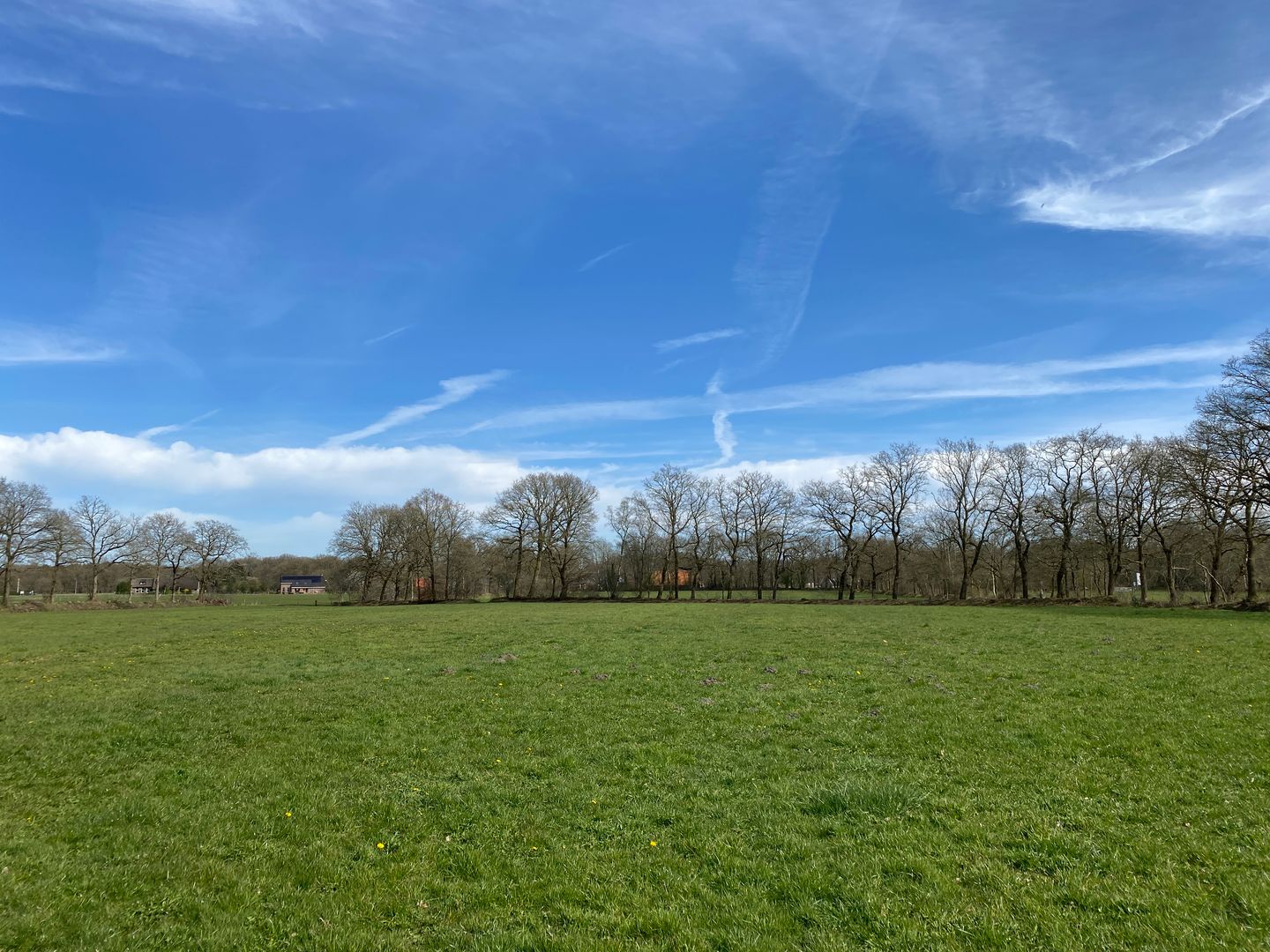 Bekijk foto 5 van Hoofdweg