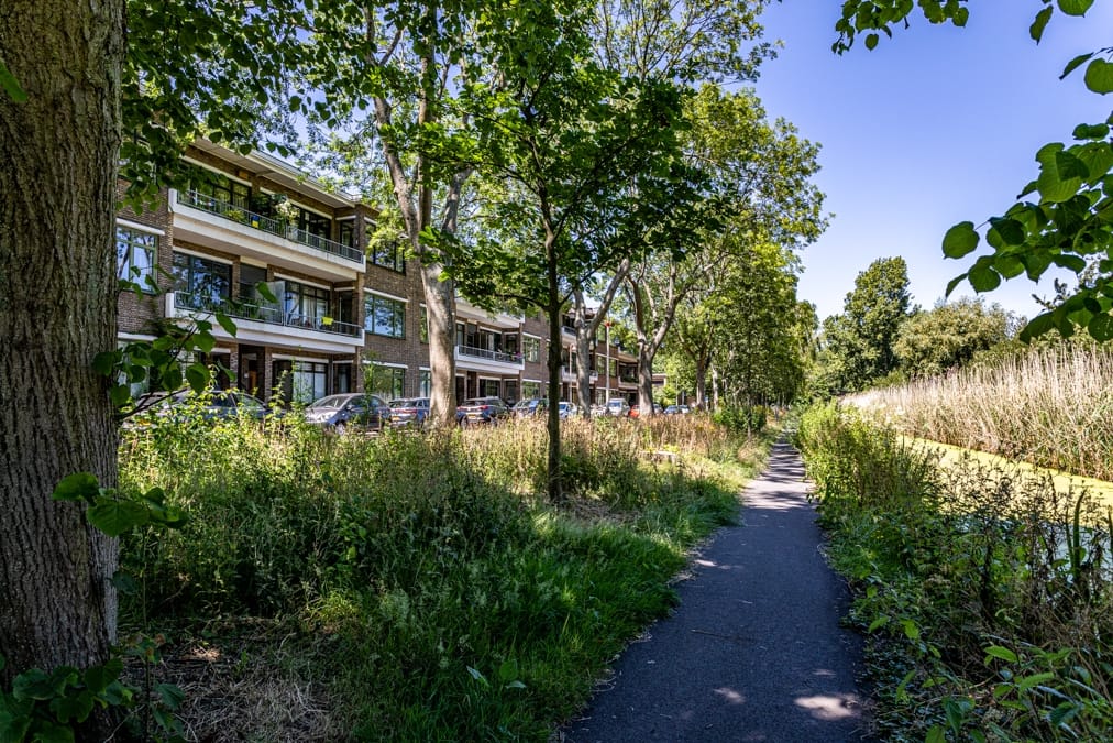 Photo 43 of Carel Reinierszkade 265