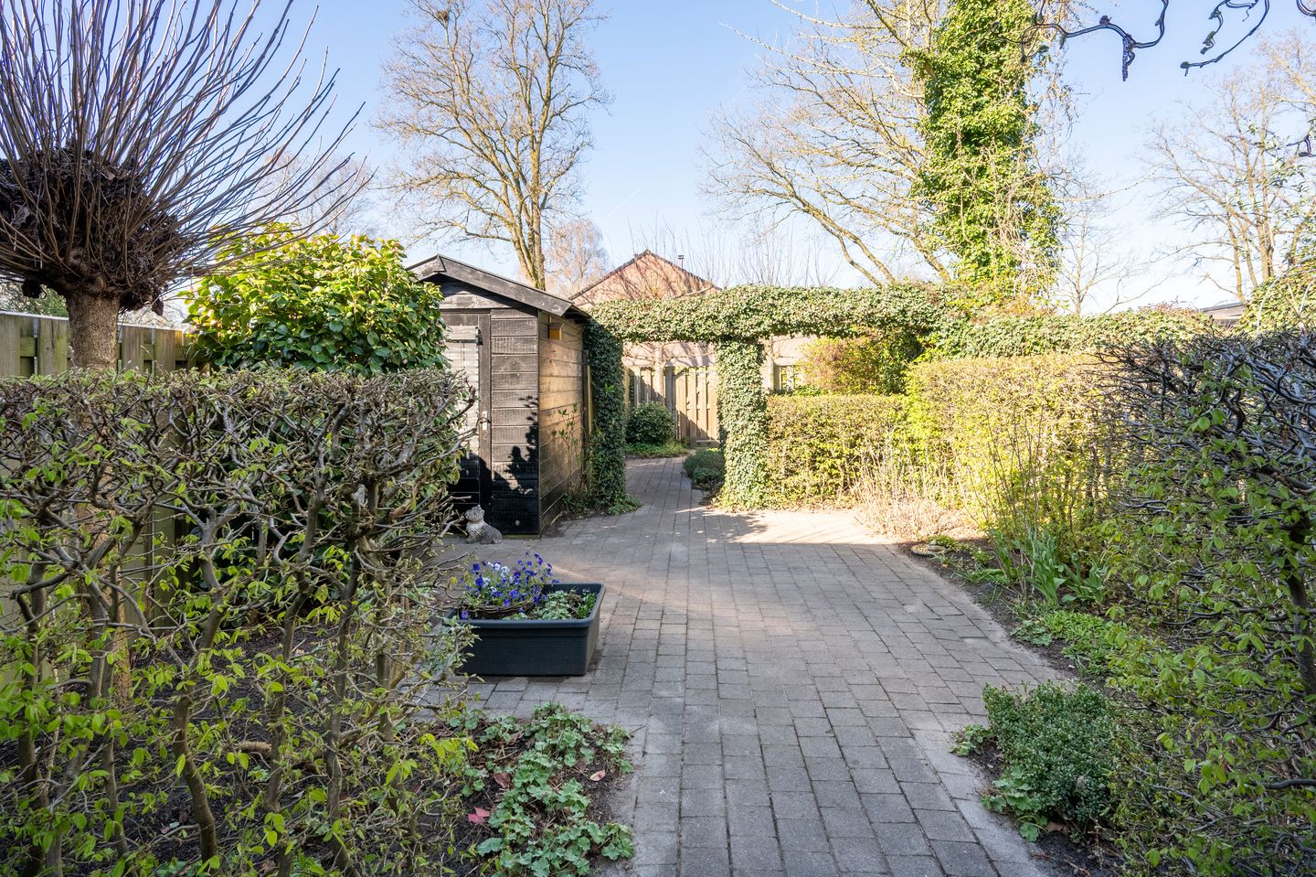 Foto 35 van Laan van het Kwekebos 181