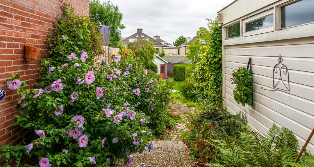 Foto 62 van Anjerdreef 38