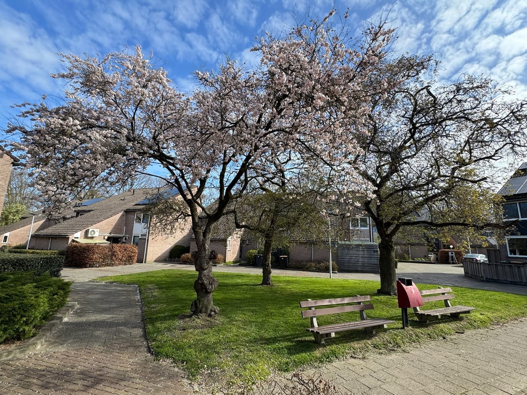 Foto 28 van Robert Stolzstraat 112