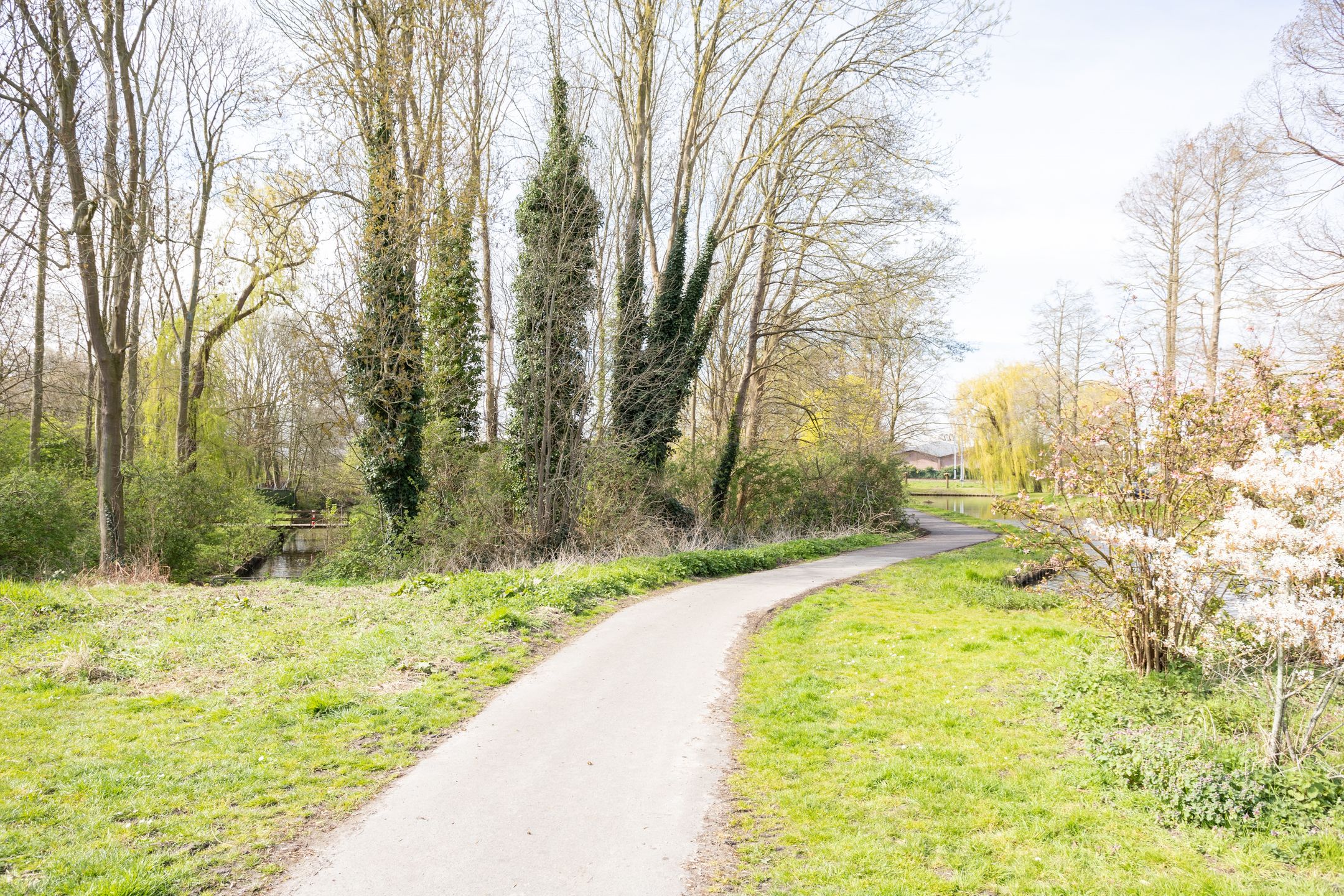 Foto 66 van Anjerdreef 38