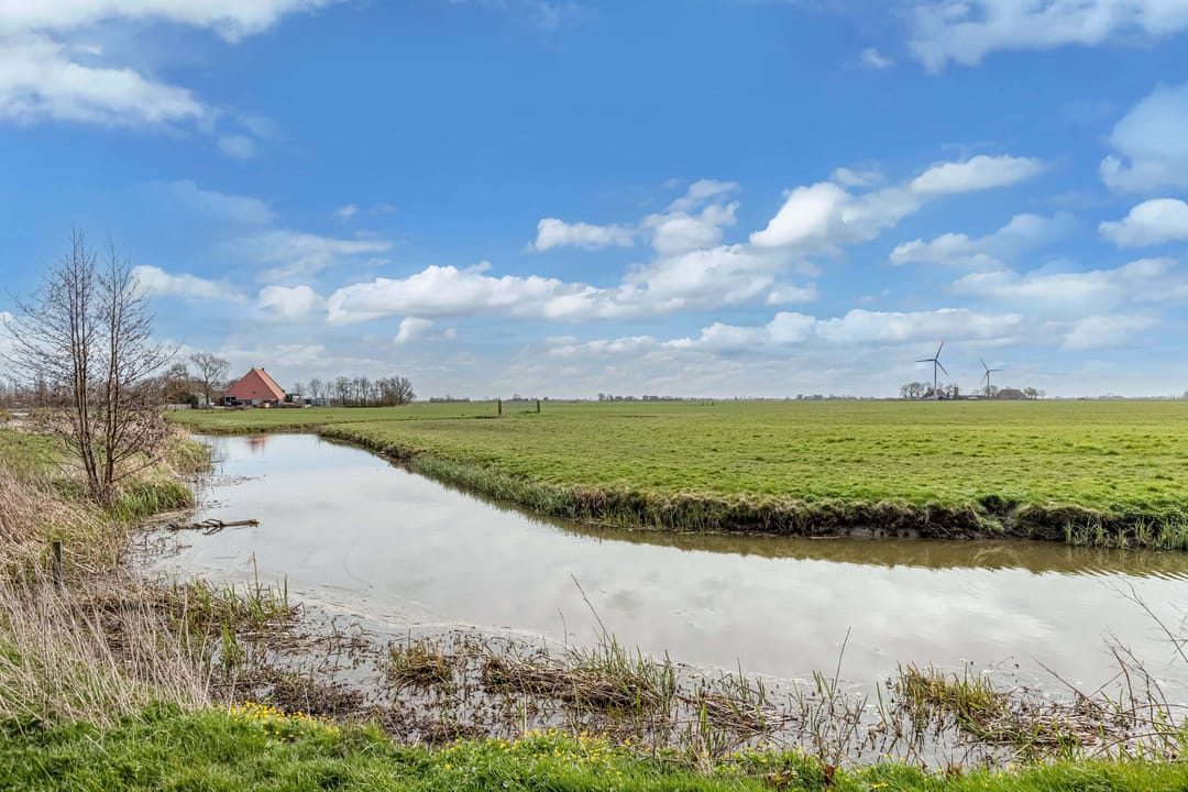 Photo 52 of Tywert 6