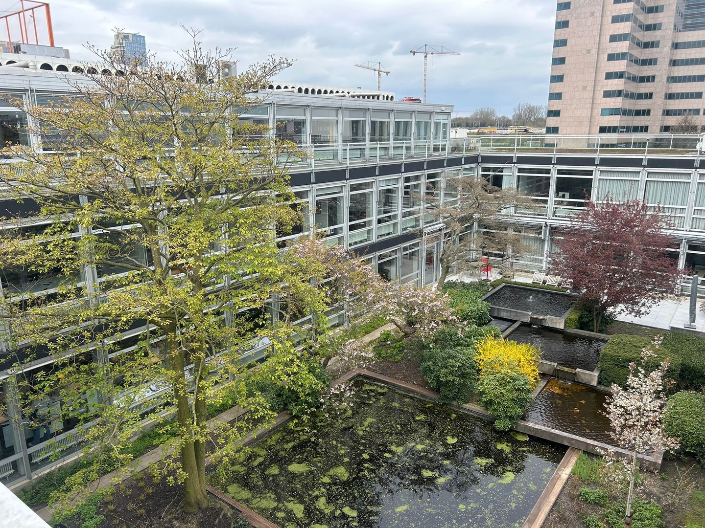 Bekijk foto 4 van Antonio Vivaldistraat 2